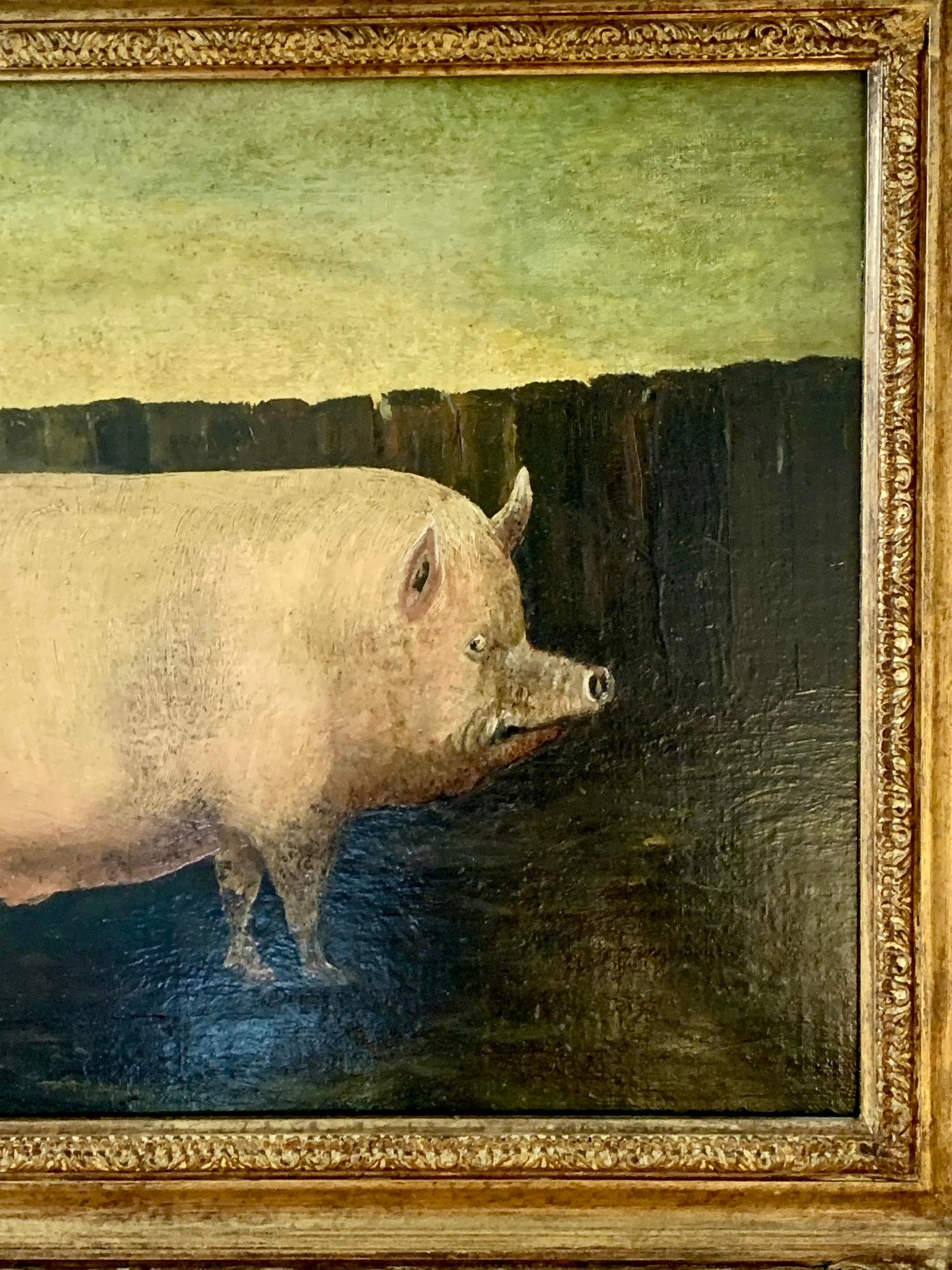 English Folk art portrait of a Prize winning Pig - Painting by 19th century English Folk Art School