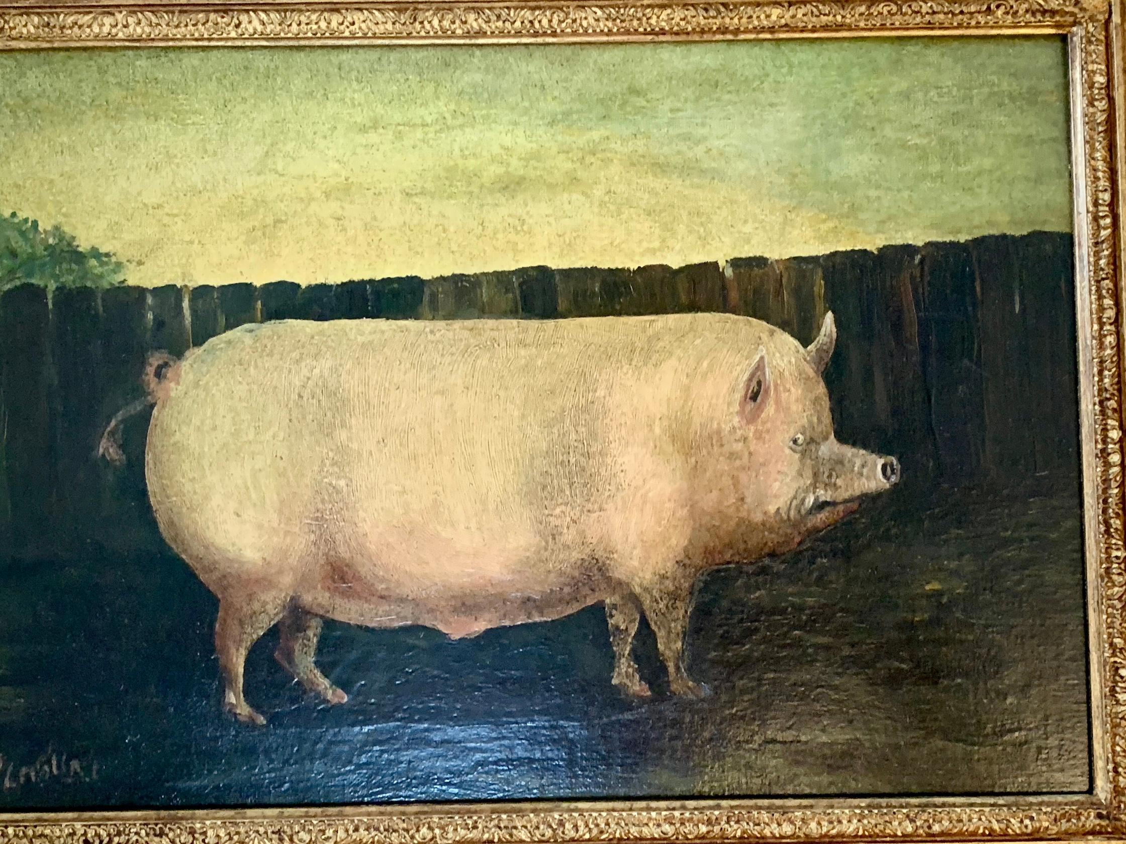 English Folk art portrait of a Prize winning Pig - Folk Art Painting by 19th century English Folk Art School