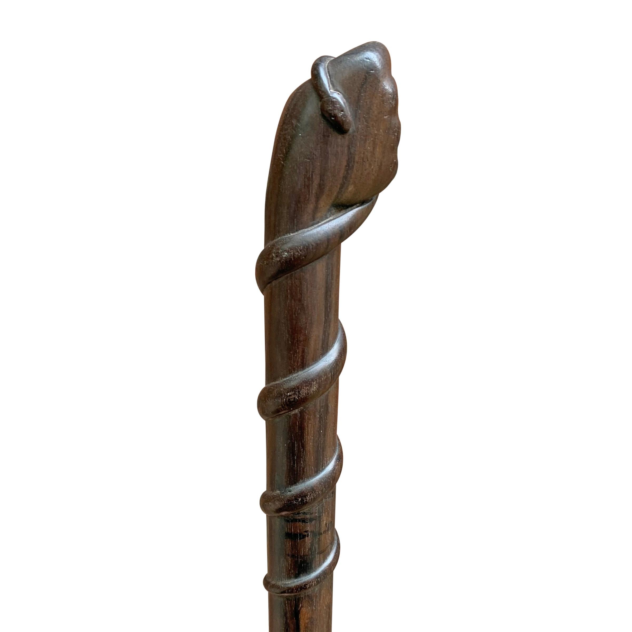 Hardwood 19th Century English Folk Art Walking Stick with Snake