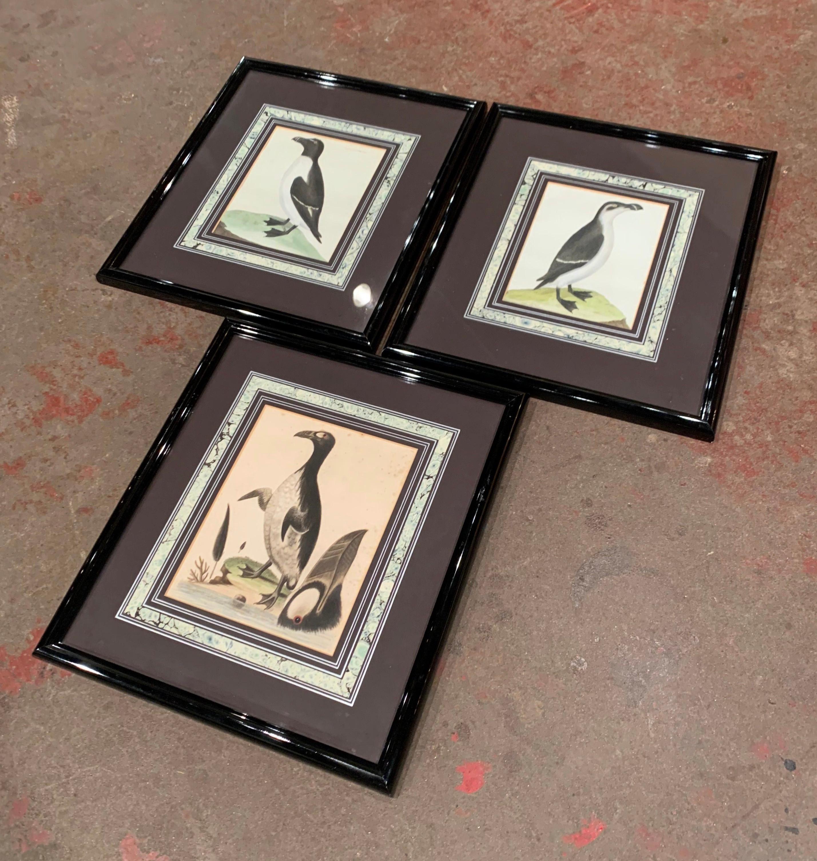 Décorez un mur avec cette suite colorée d'aquarelles d'oiseaux d'Angleterre. Insérées dans un cadre acrylique noir et protégées par un verre, les trois aquarelles anciennes peintes à la main représentent un oiseau rare. Les œuvres d'art sont en