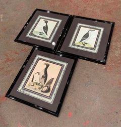 19th Century English Framed Bird Watercolors, Set of Three