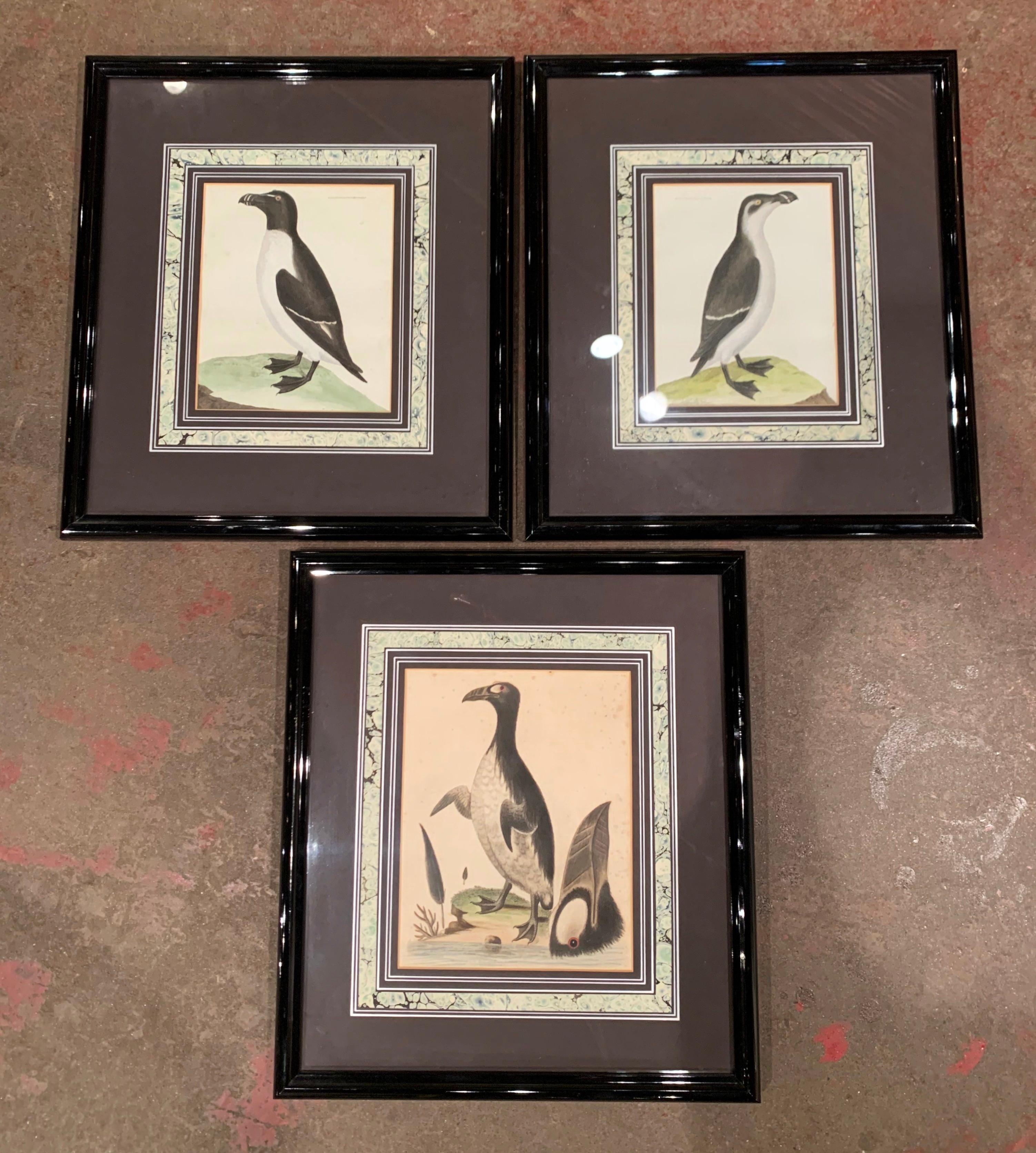 Hand-Painted 19th Century English Framed Bird Watercolors, Set of Three For Sale