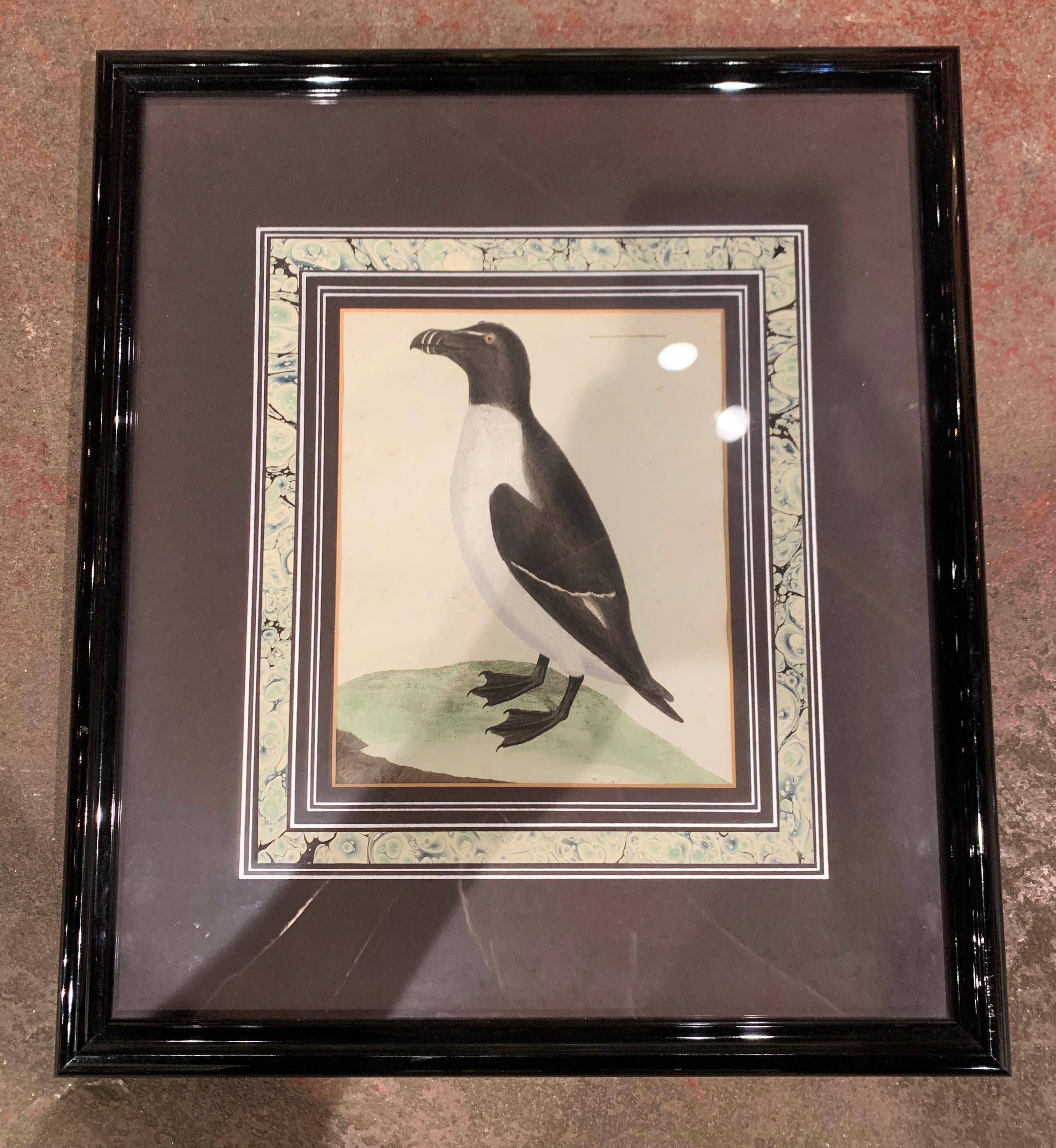 19th Century English Framed Bird Watercolors, Set of Three In Excellent Condition For Sale In Dallas, TX