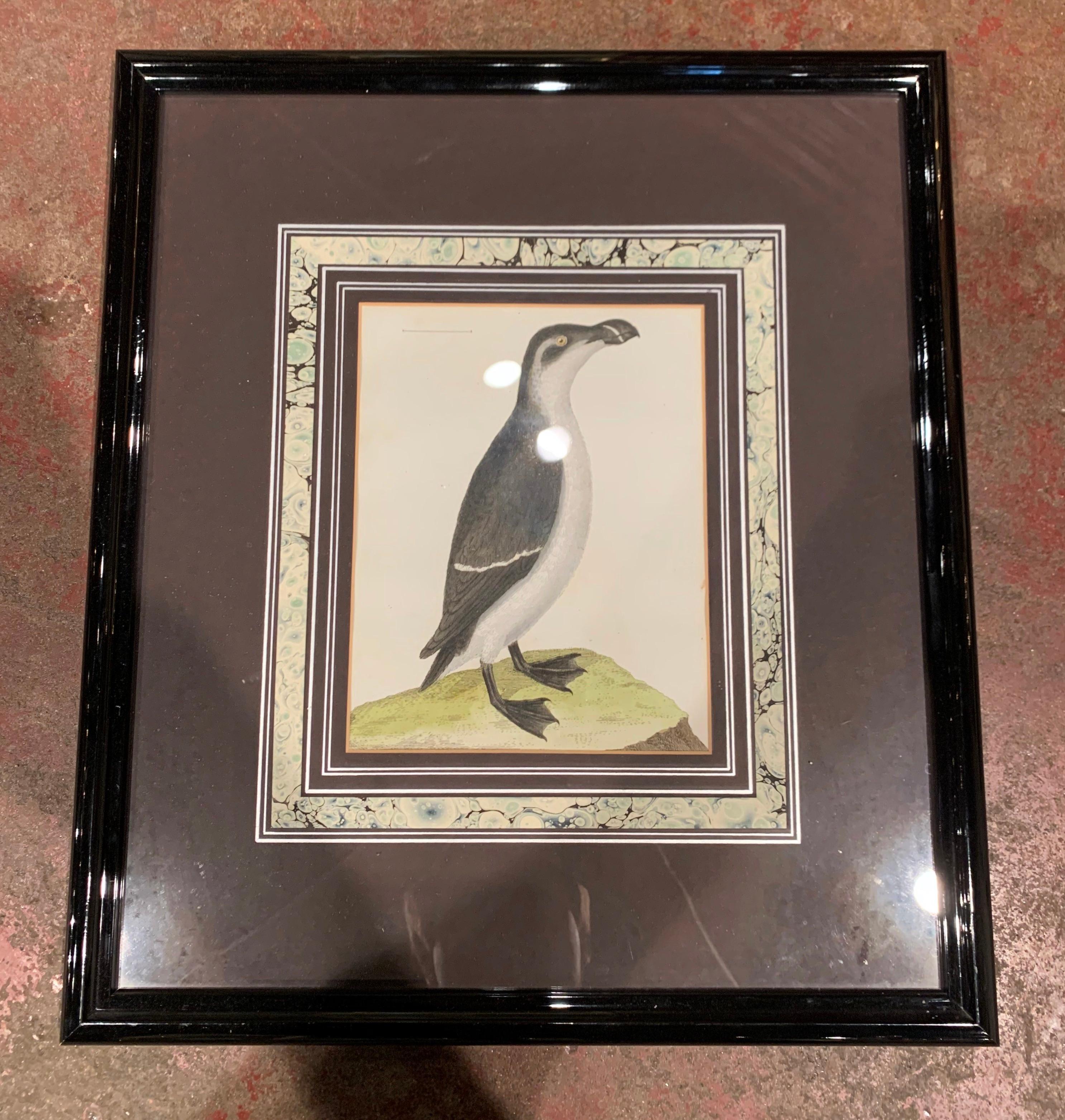 Paper 19th Century English Framed Bird Watercolors, Set of Three For Sale