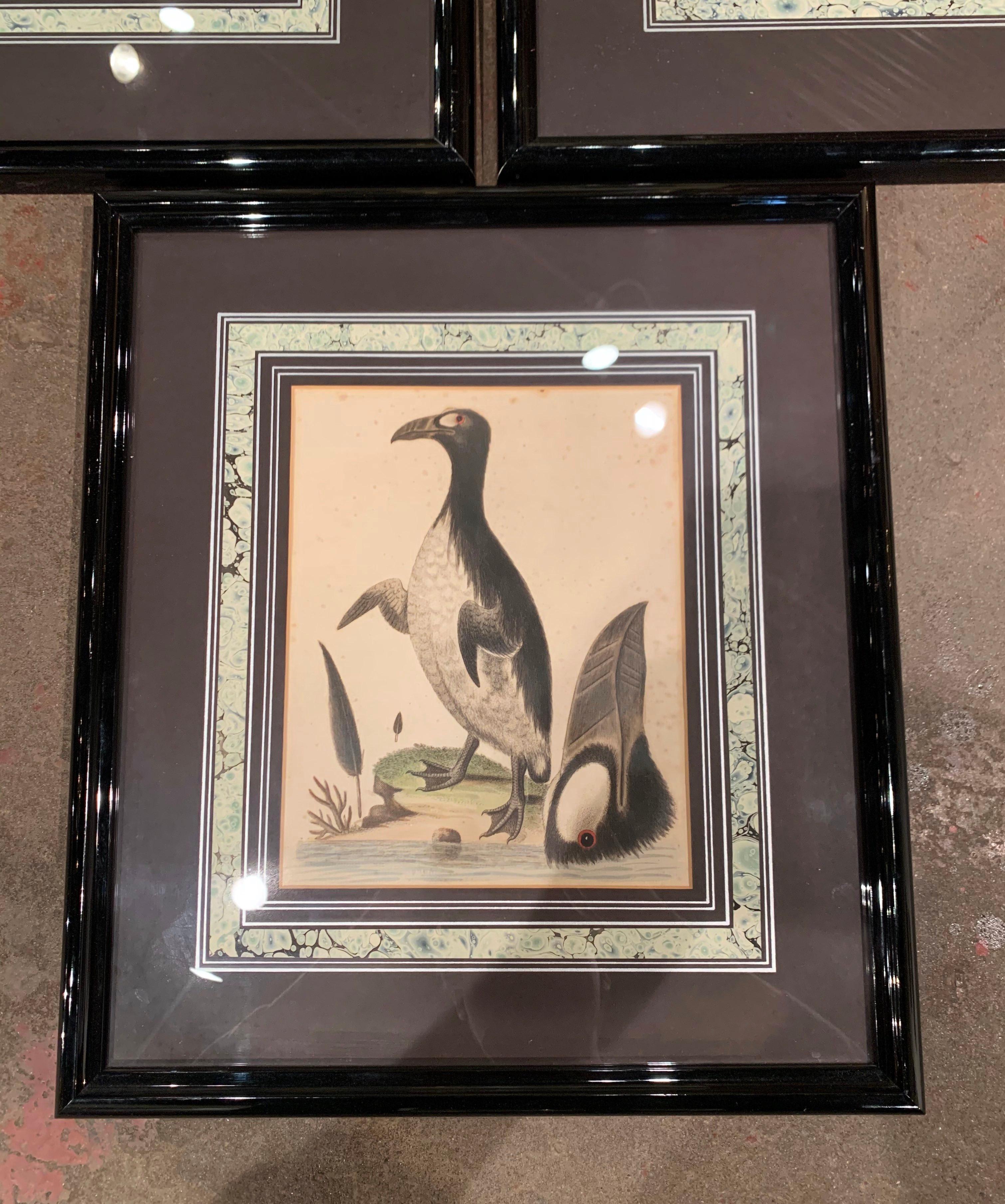 Papier Aquarelles d'oiseaux encadrées anglaises du 19ème siècle, lot de trois en vente