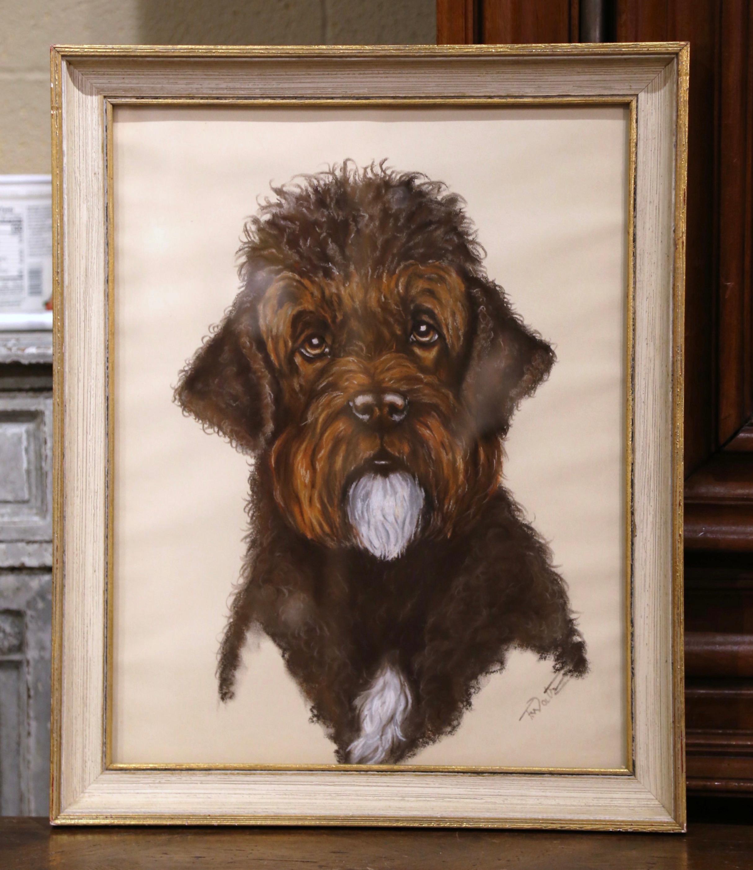 englischer schnauzer