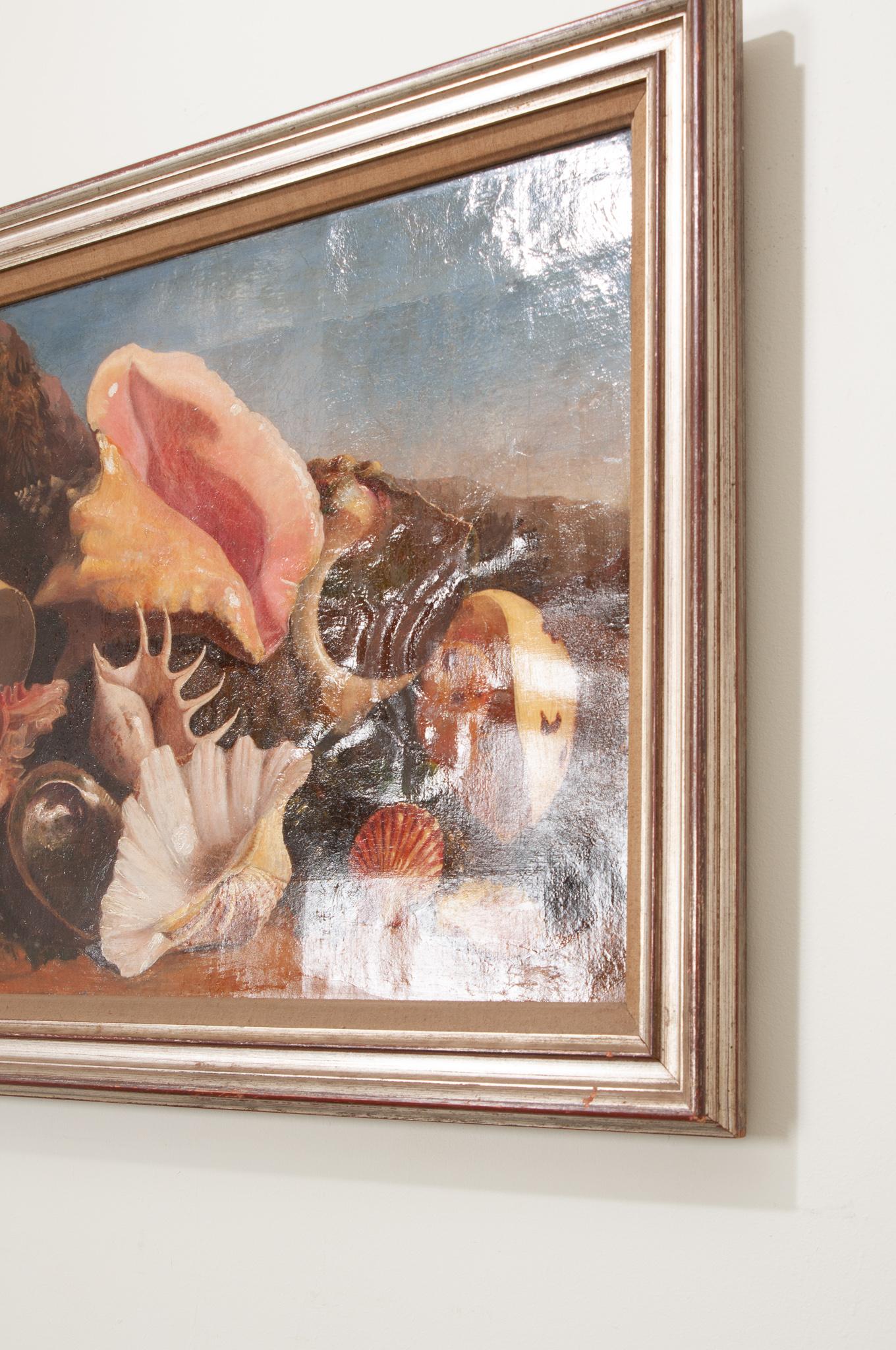 Hand-Painted 19th Century English Framed Painting of Seashells For Sale