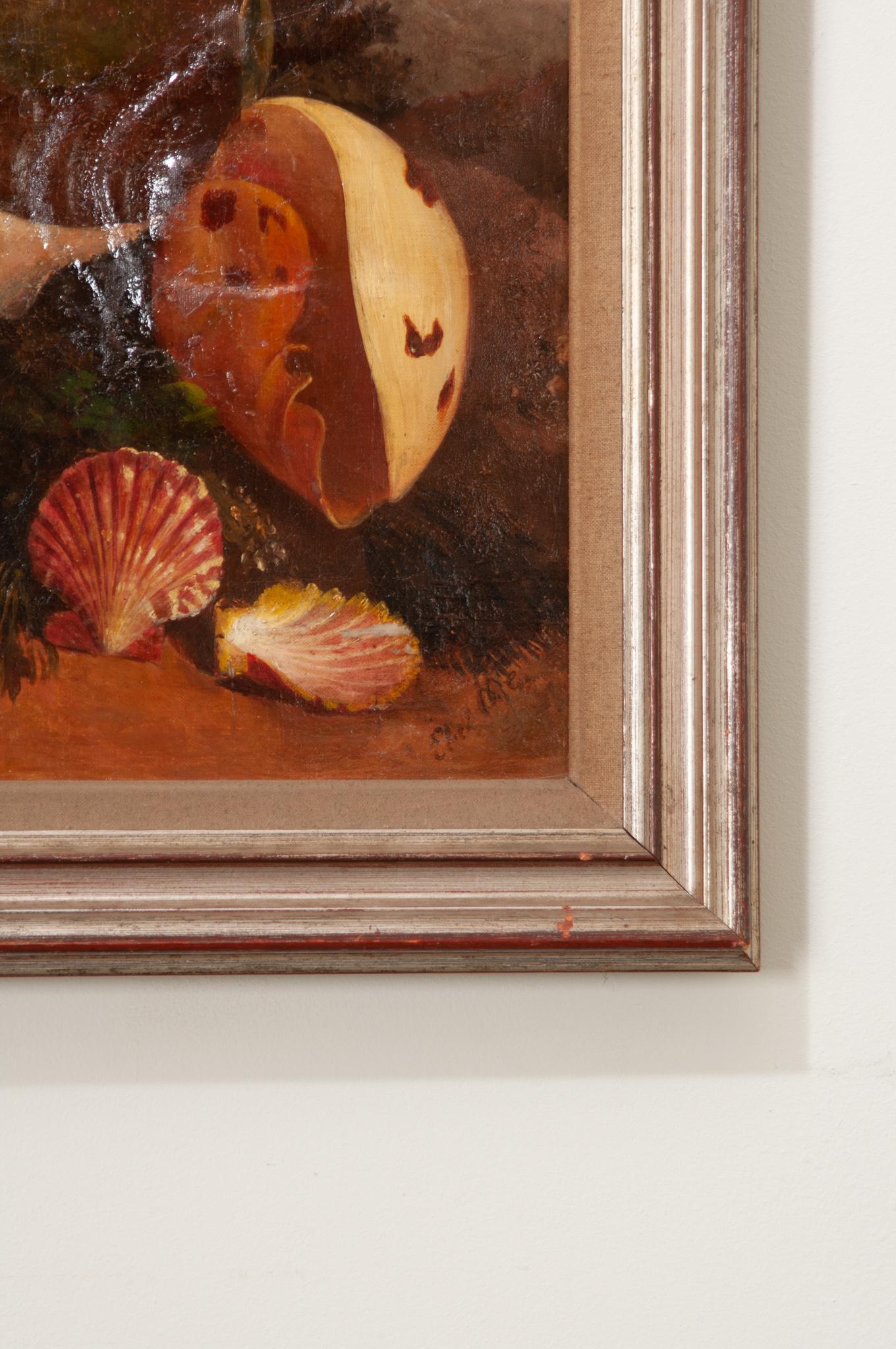 Peint à la main Peinture anglaise du 19ème siècle encadrée représentant des coquillages en vente