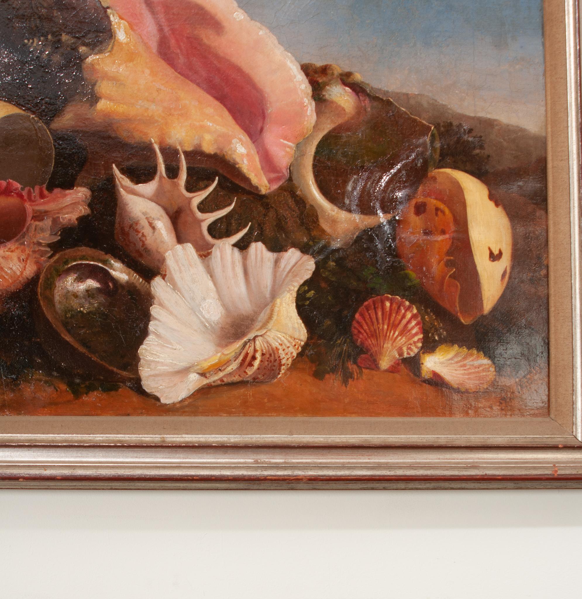 Peinture anglaise du 19ème siècle encadrée représentant des coquillages Bon état - En vente à Baton Rouge, LA
