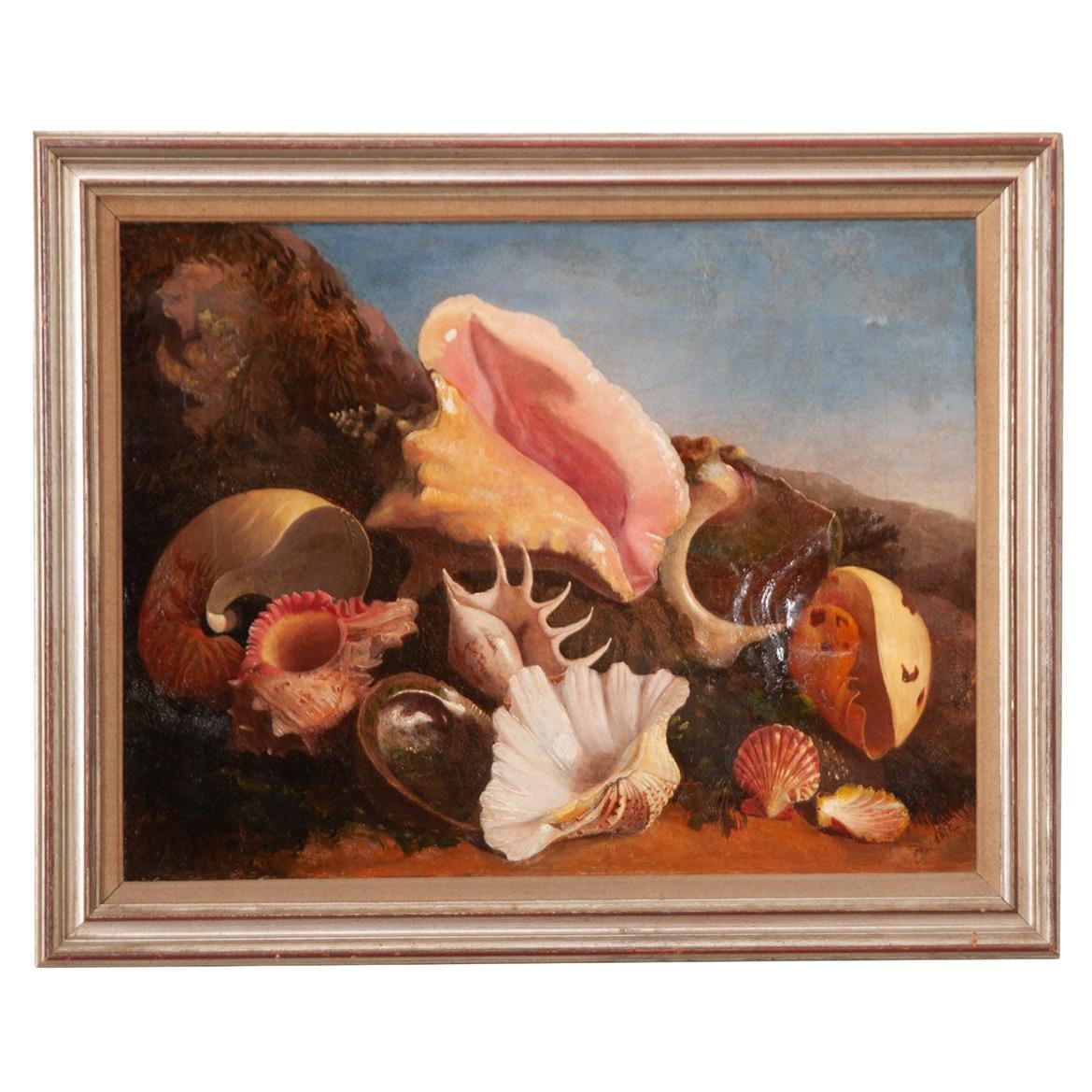 Englisches gerahmtes Gemälde von Muscheln aus dem 19. Jahrhundert
