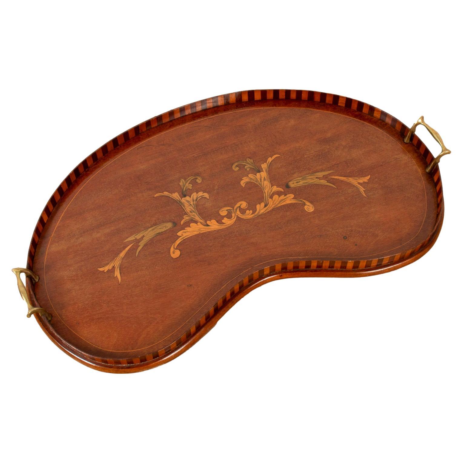 19th Century English George III Mahogany Kidney Shaped Butler
s Tray with Brass For Sale