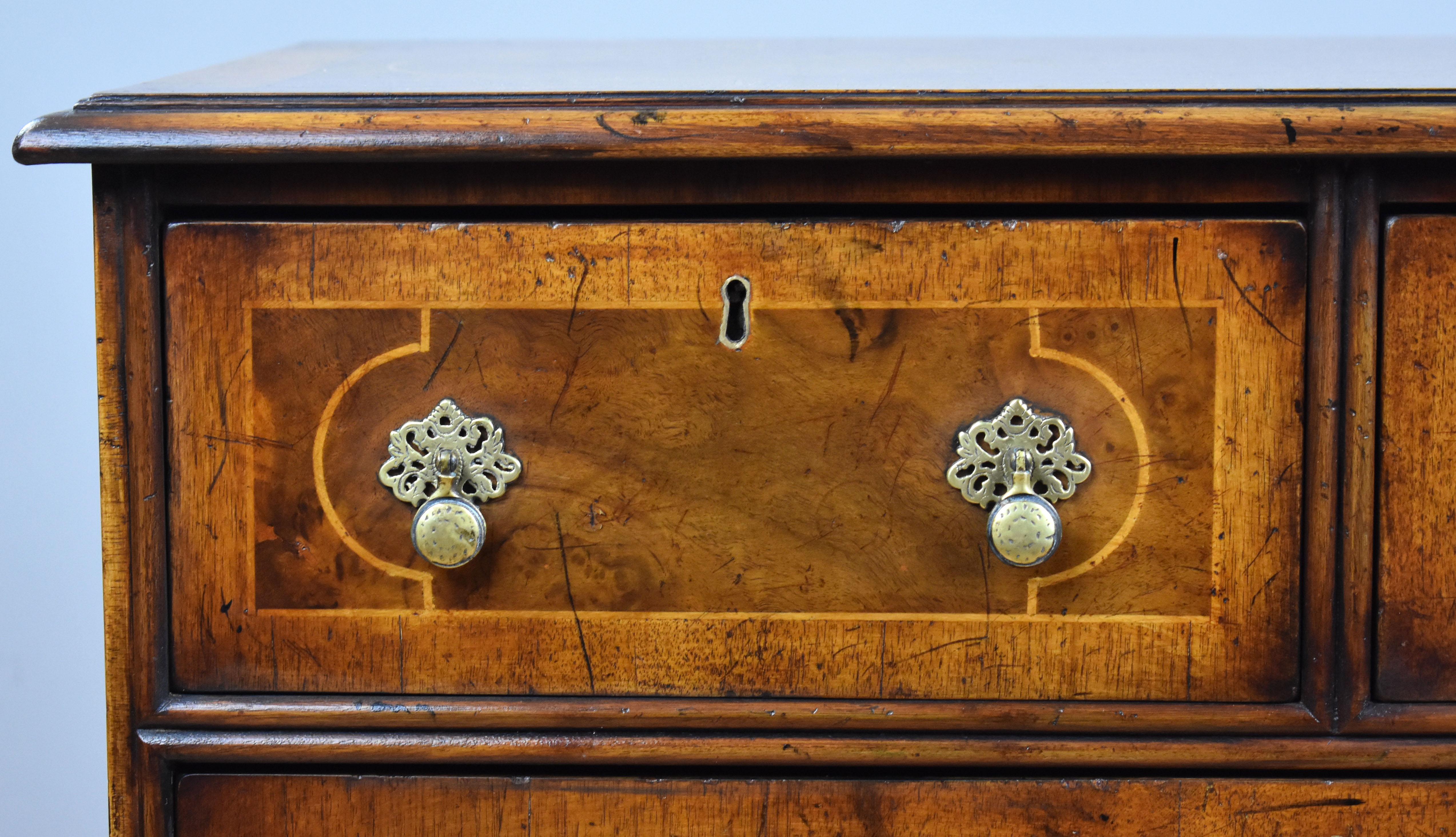 19th Century English George III Style Burr Walnut Chest of Drawers 5