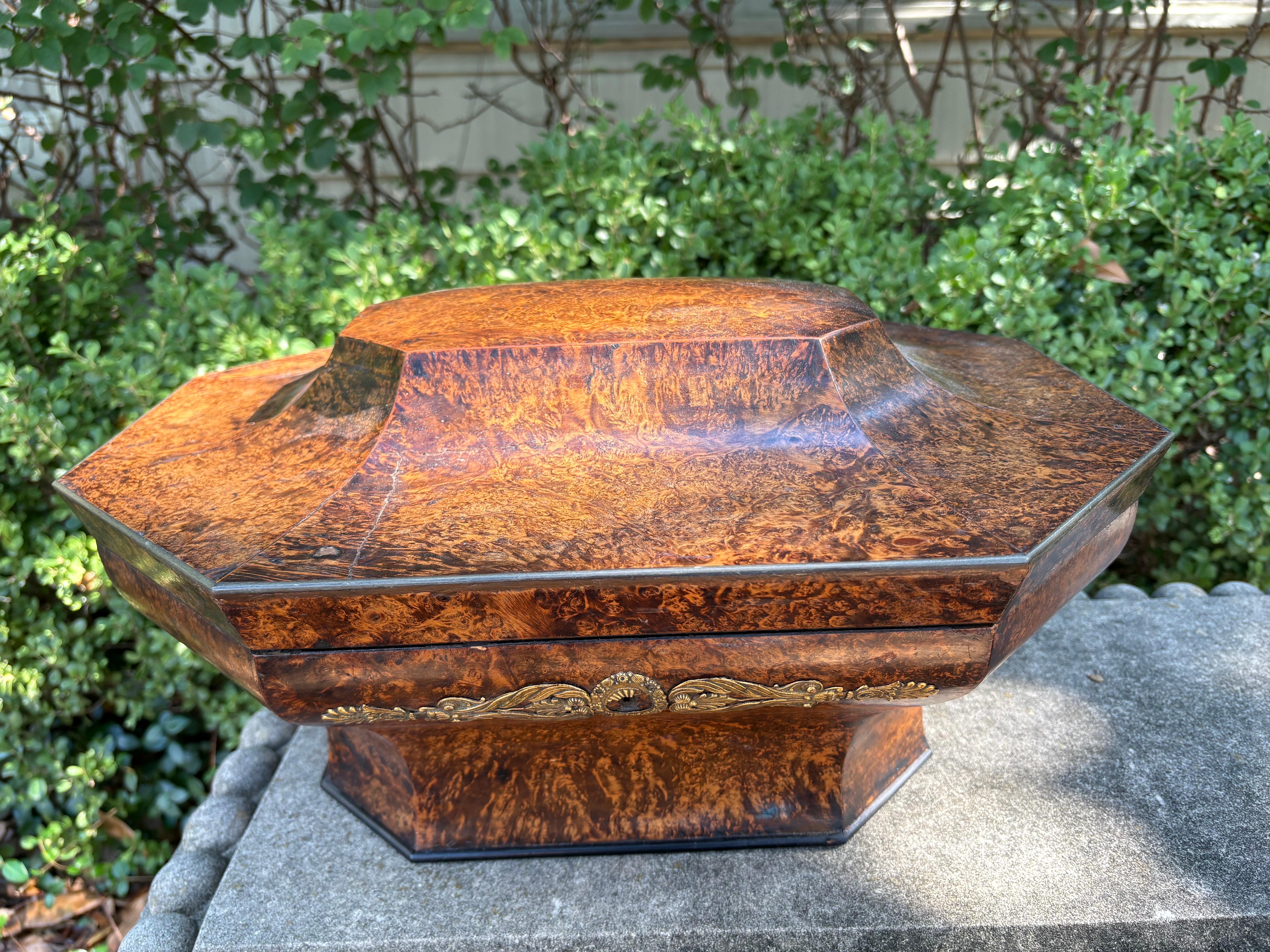 Georgiano Scatola per parrucche in legno di buro inglese del XIX secolo in vendita