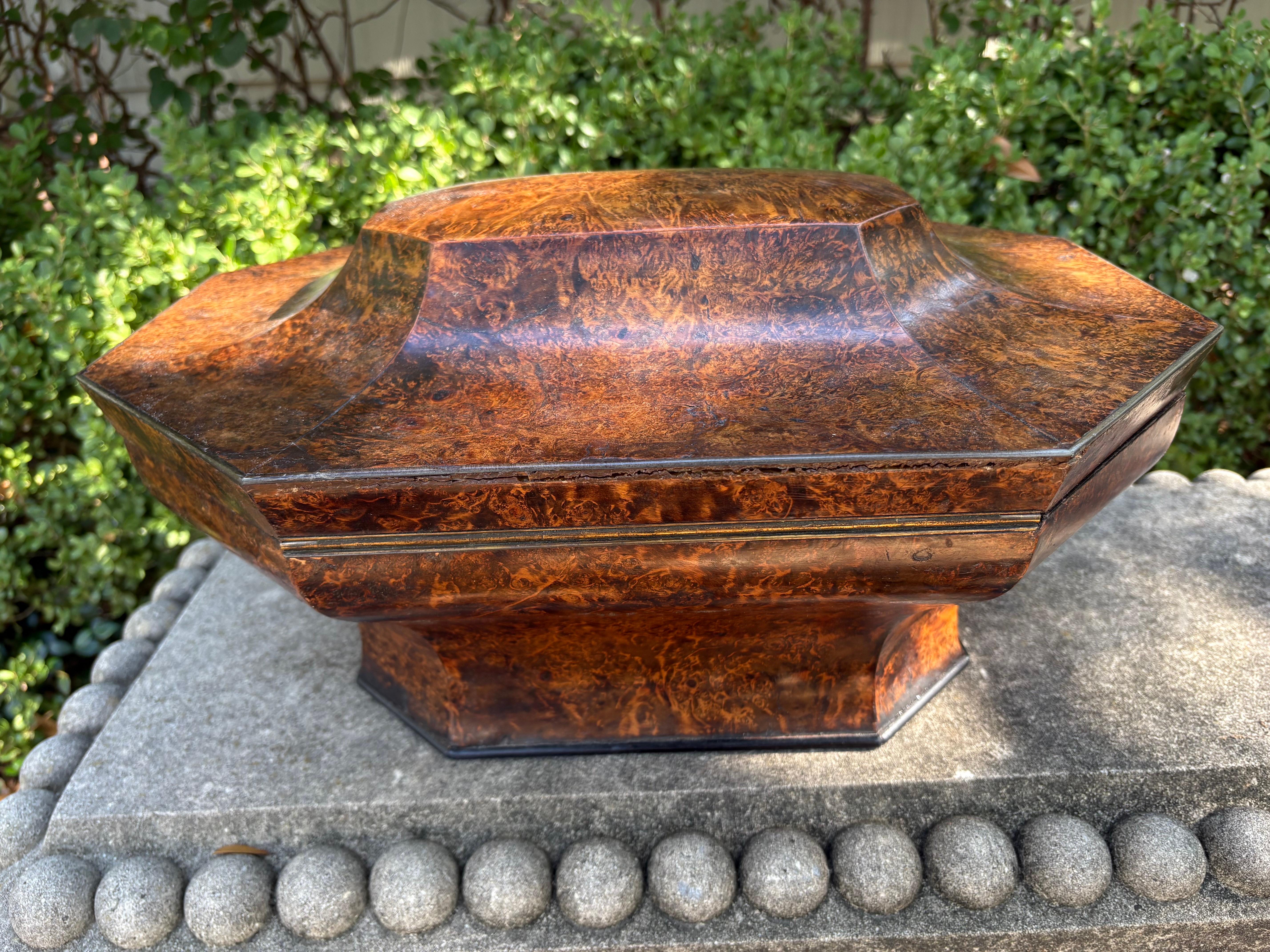 Scatola per parrucche in legno di buro inglese del XIX secolo In condizioni buone in vendita a Houston, TX