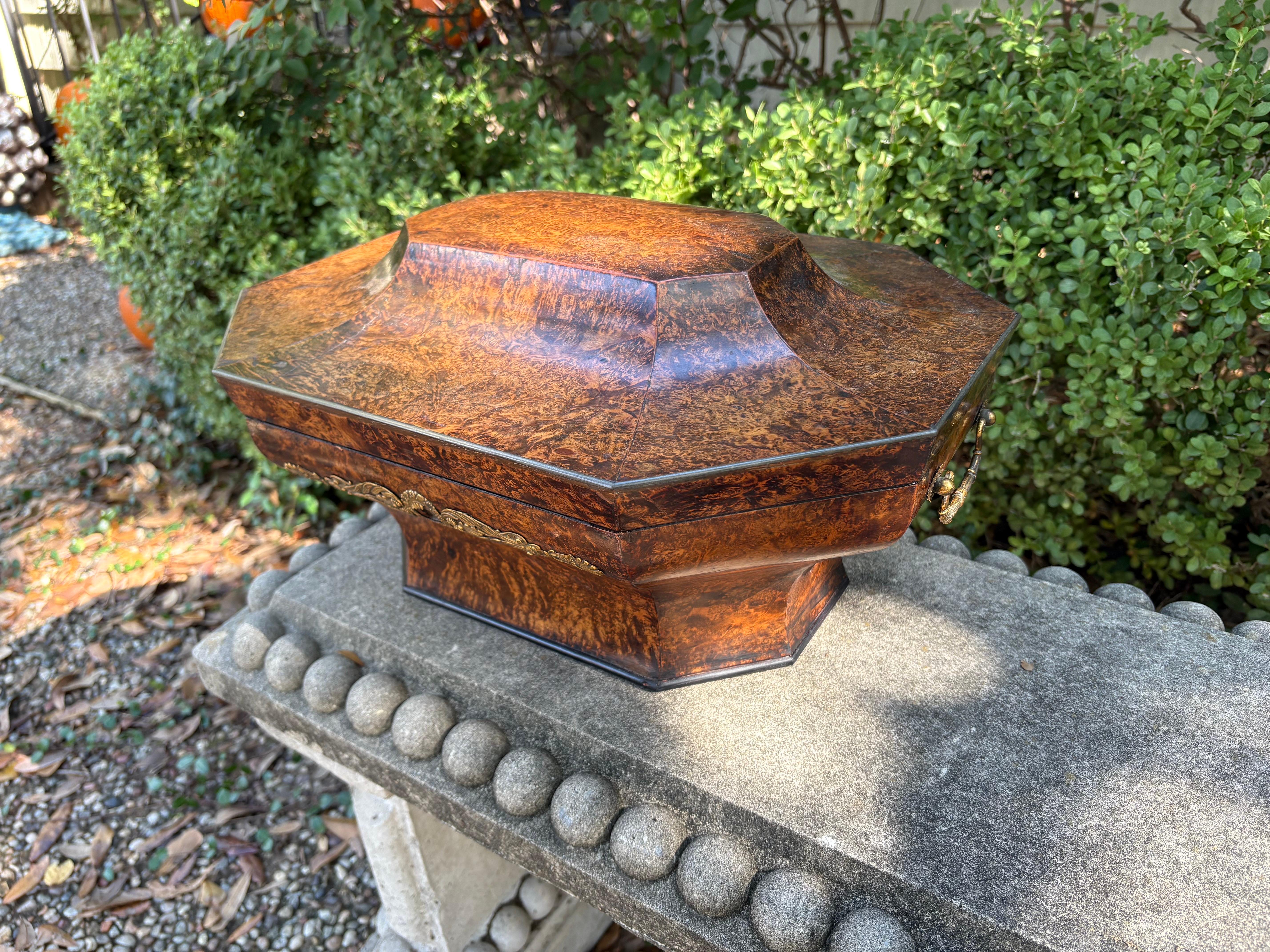 Scatola per parrucche in legno di buro inglese del XIX secolo in vendita 2