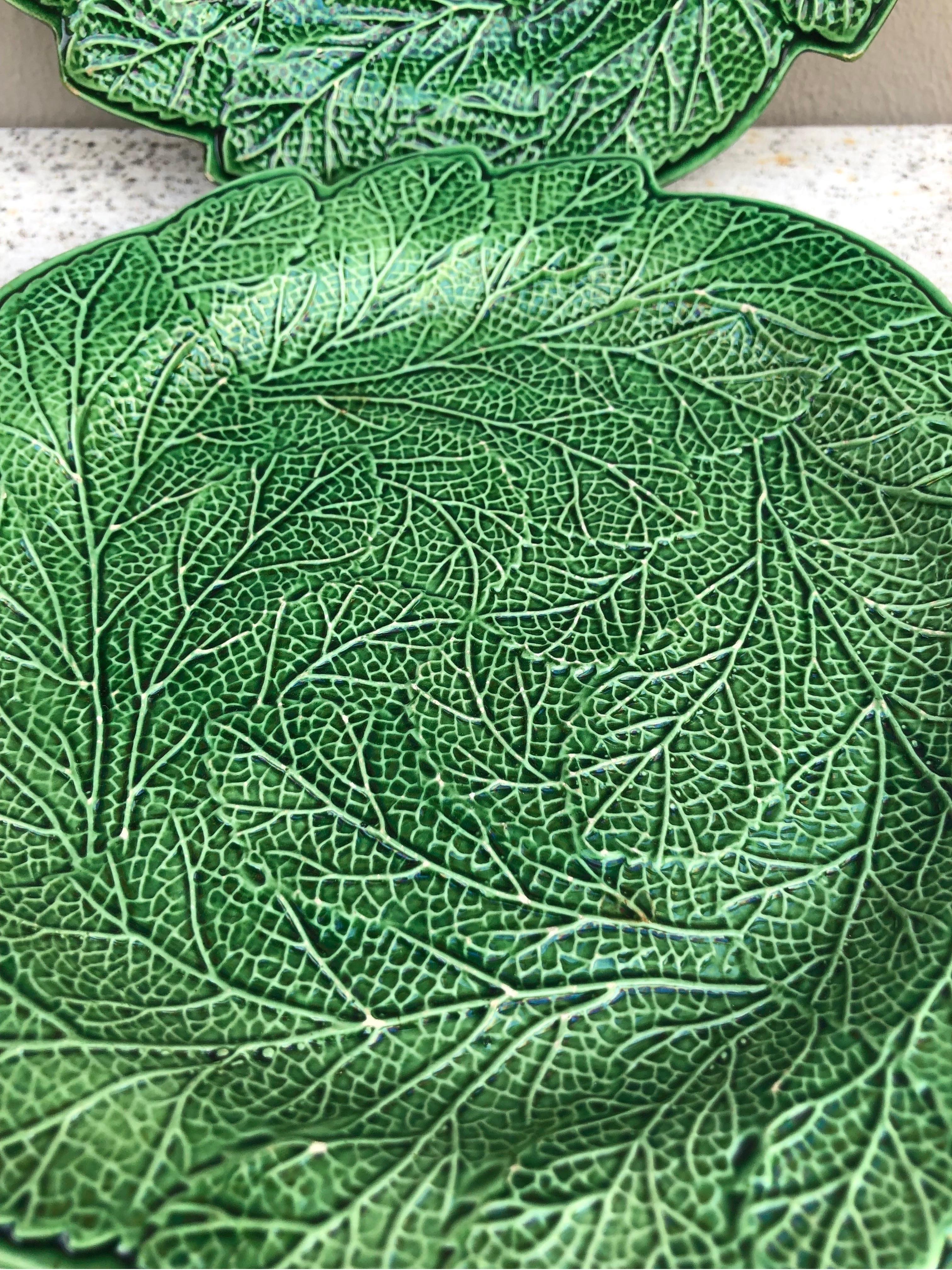 Rustique Assiette à feuilles en majolique verte anglaise du 19e siècle Brameld en vente