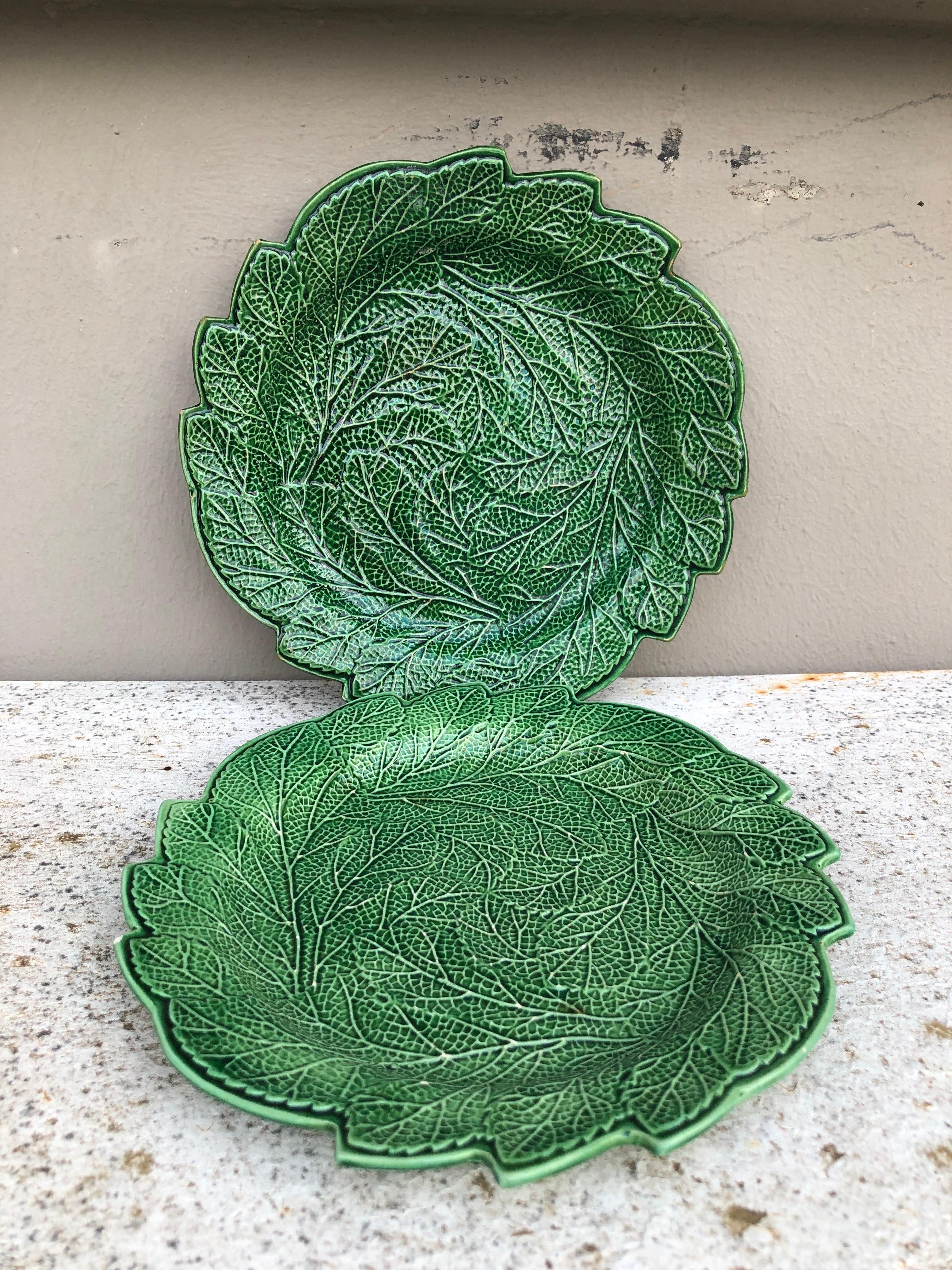 Ceramic 19th Century English Green Majolica Leaves Plate Brameld For Sale
