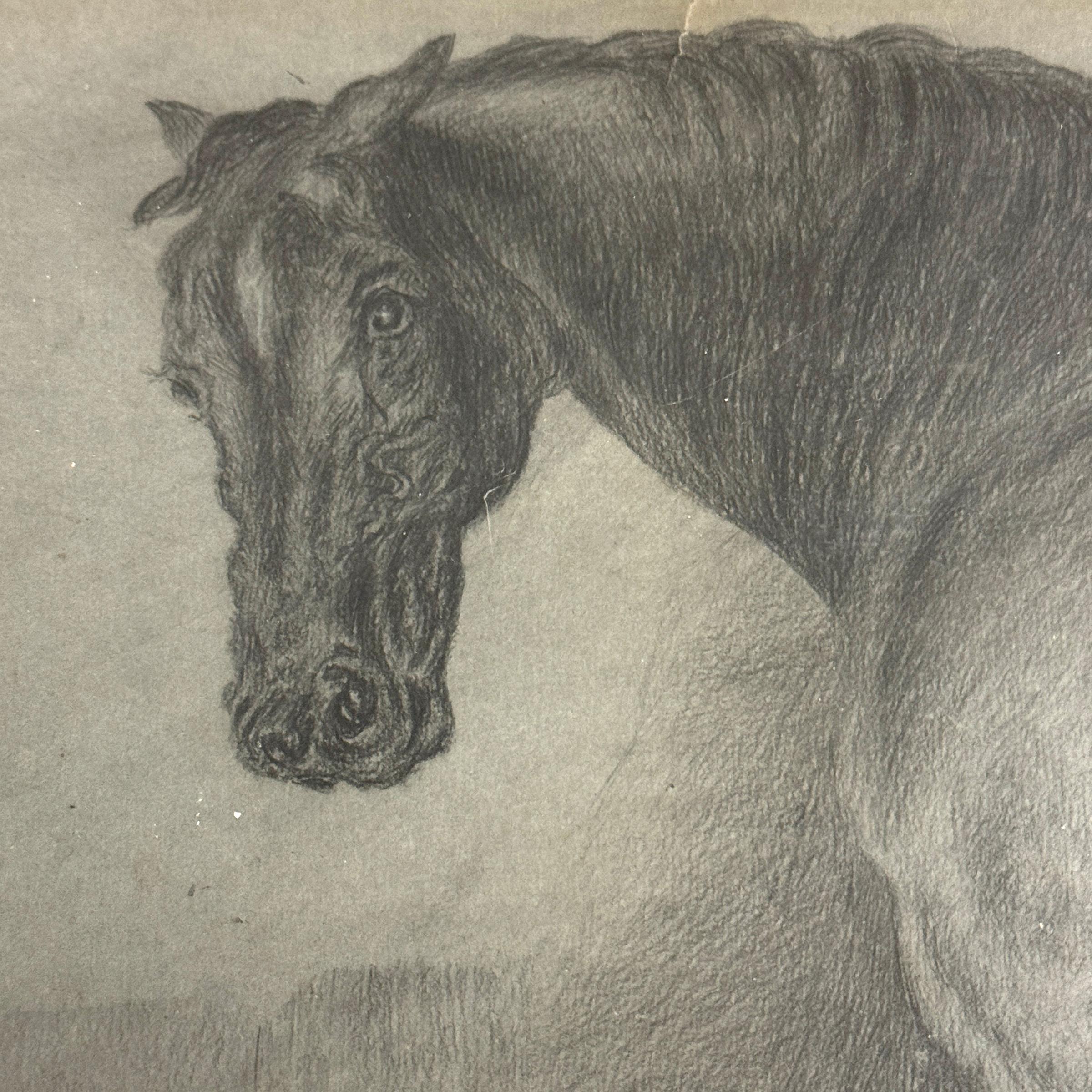 Paper 19th Century English Horse Drawing For Sale