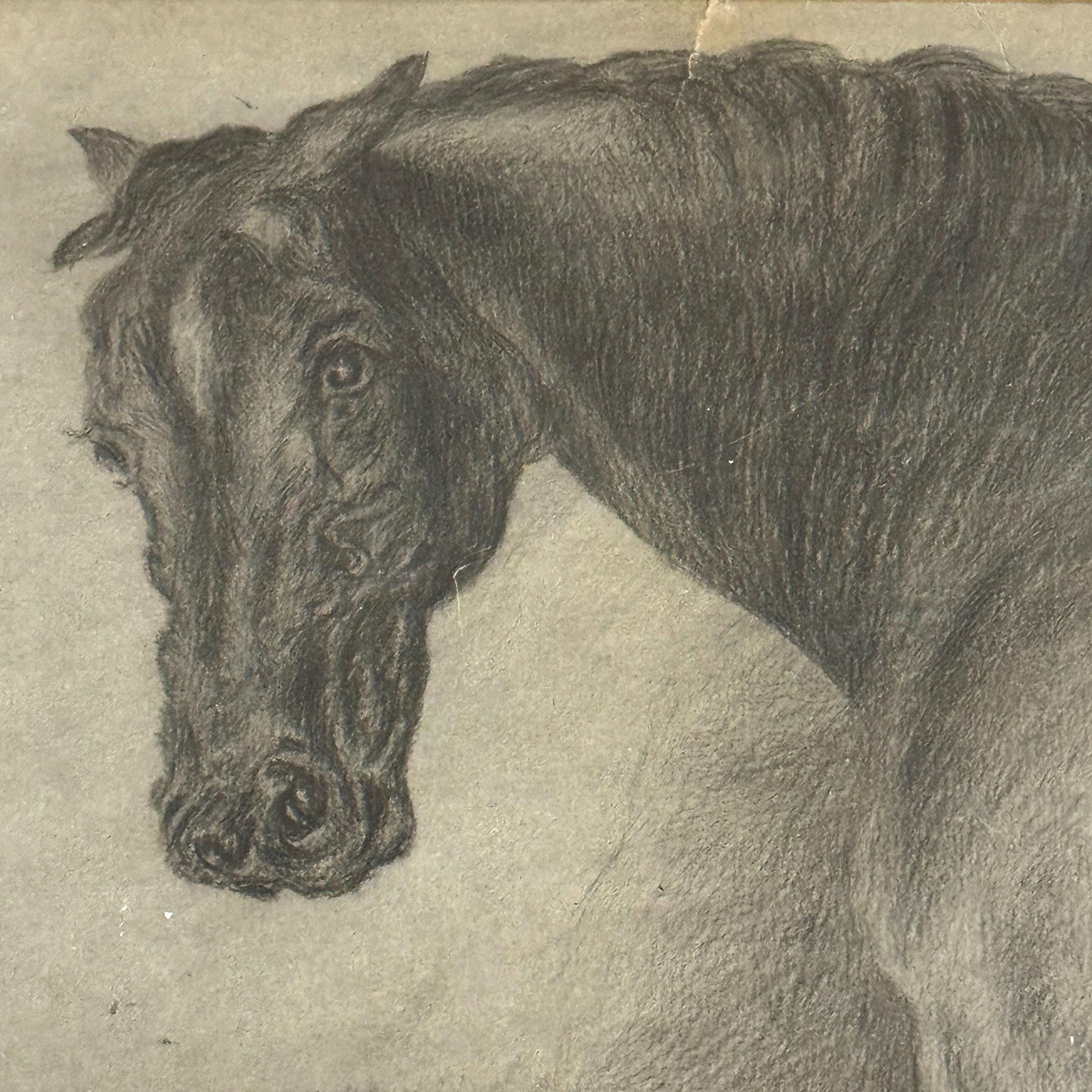 19th Century English Horse Drawing For Sale 1