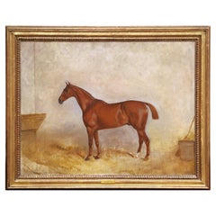 19th Century English Horse Oil on Canvas Painting by Claude Lorraine Ferneley