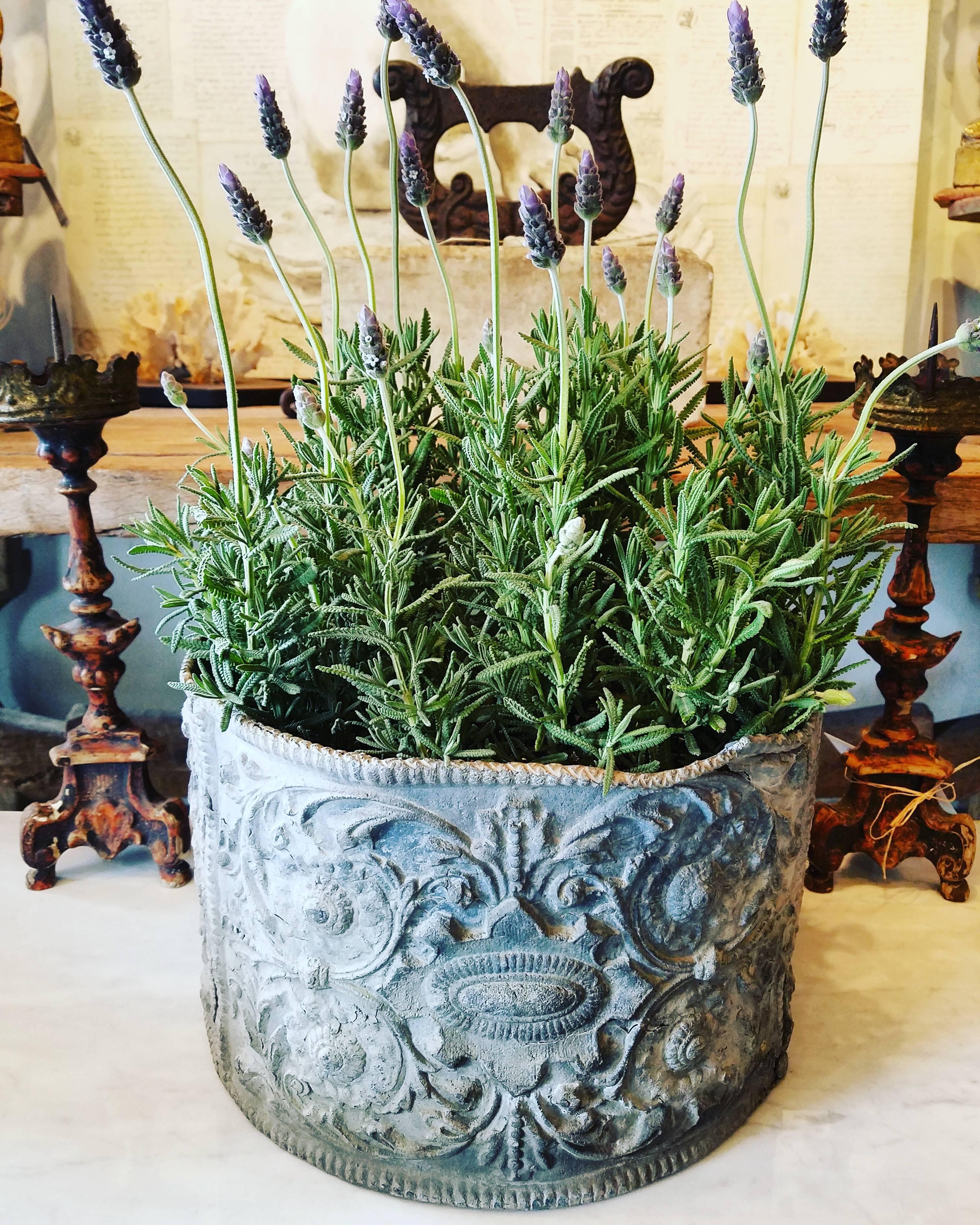 19th Century English Lead Planter with Renaissance Cartouche Relief Design For Sale 8
