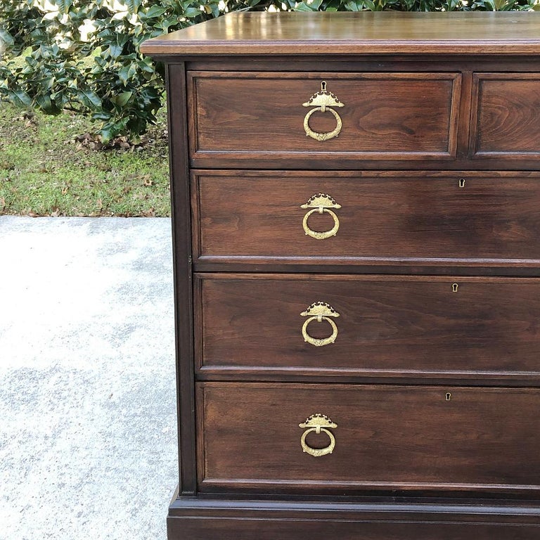 Brass 19th Century English Mahogany Chest of Drawers For Sale
