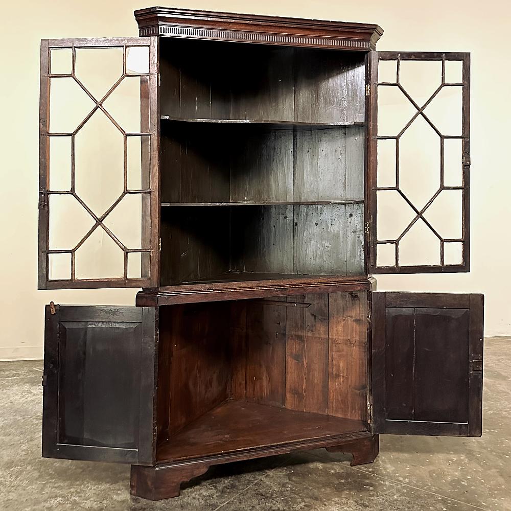 19th Century English Mahogany Corner Bookcase ~ Curio Cabinet In Good Condition For Sale In Dallas, TX