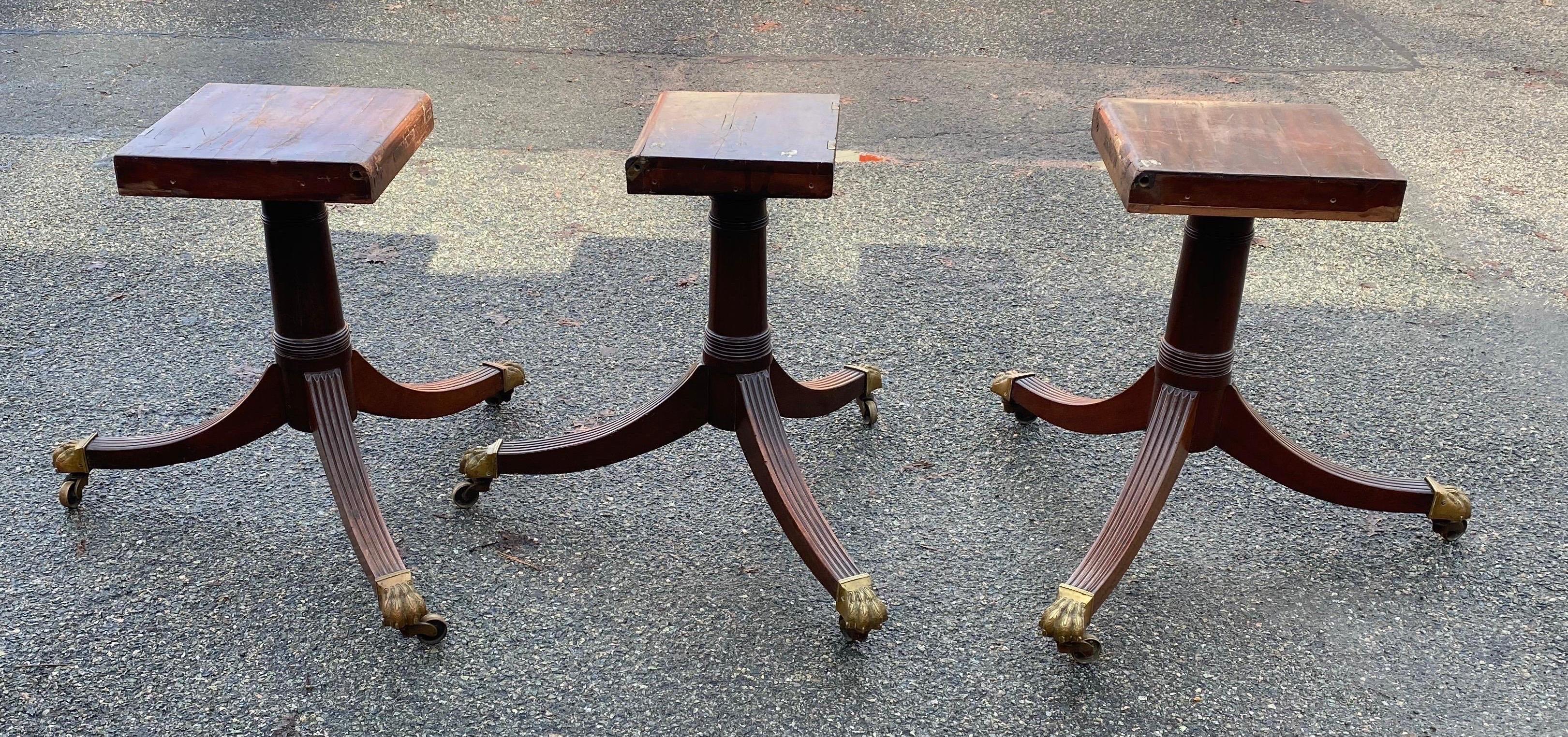 19th Century English Mahogany Triple Pedestal Dining Table w/ Harry Paw Castors 3