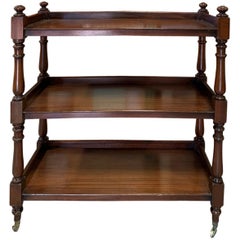 19th Century English Mahogany Trolley or Étagère
