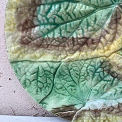 19th Century English Majolica Begonia Plate