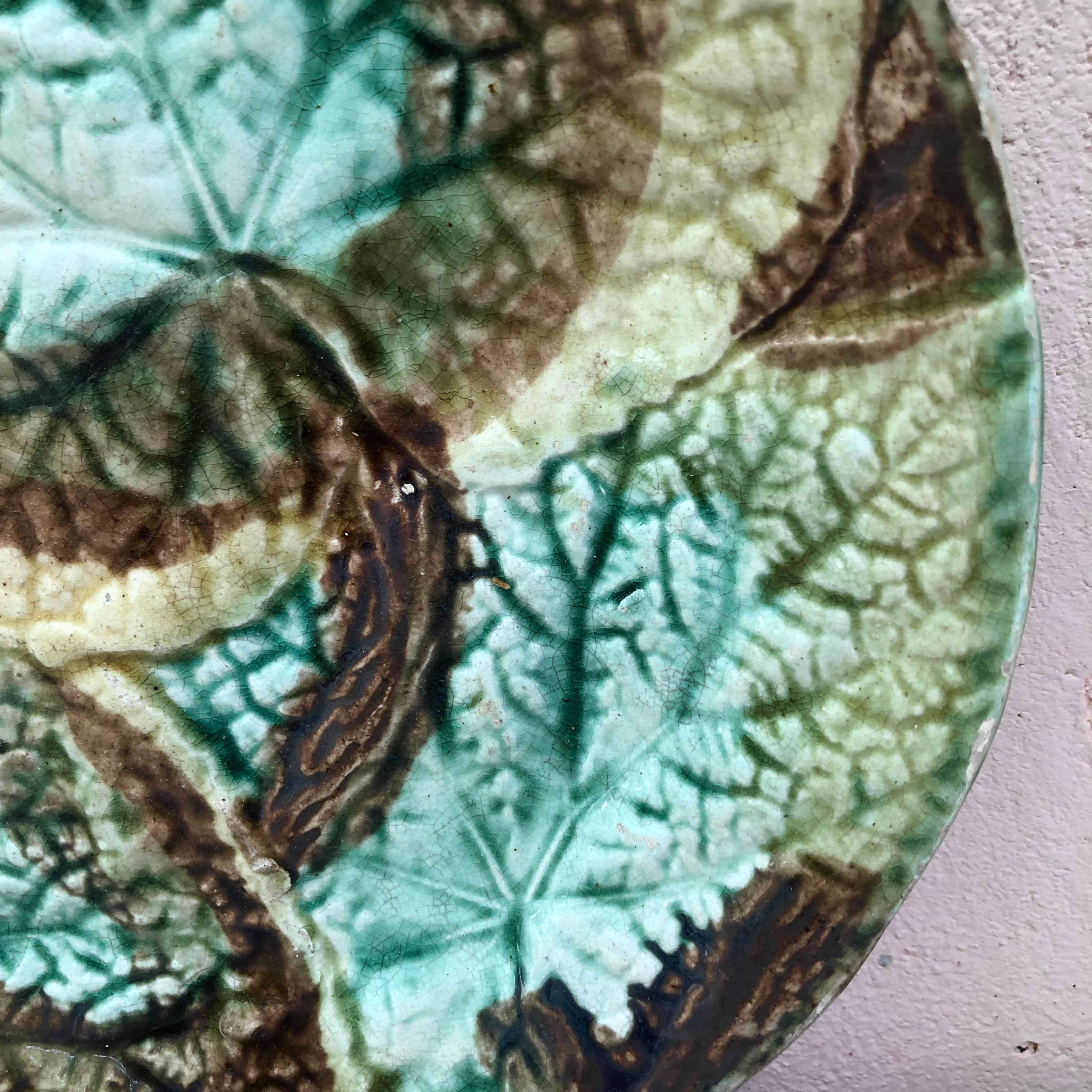 19th century English Majolica begonia plate.
 