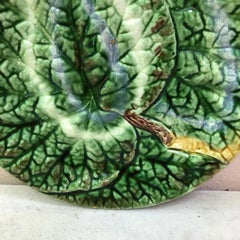 19th Century English Majolica Begonia Plate