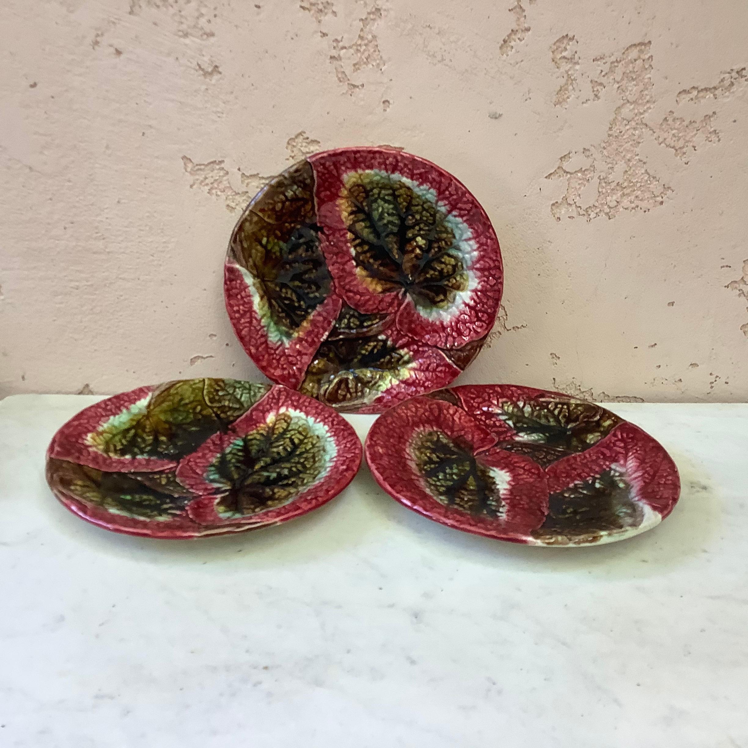 Victorian 19th Century English Majolica Begonia Plate