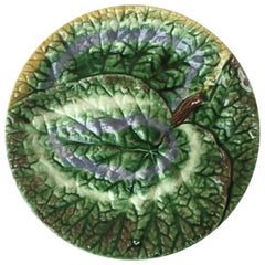19th Century English Majolica Begonia Plate