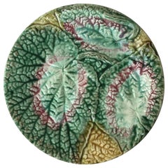 19th Century English Majolica Begonia Plate