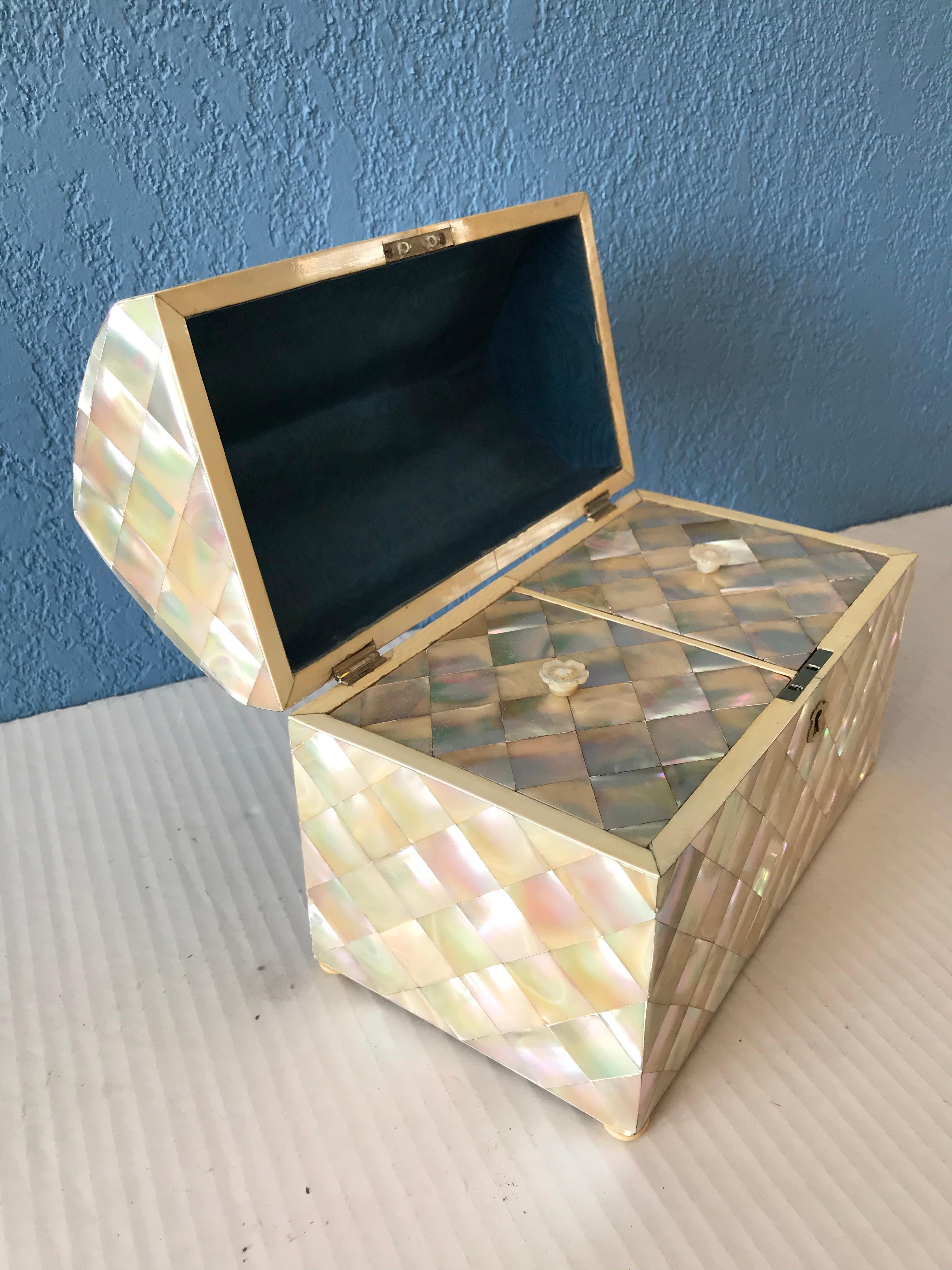 19TH Century English Mother of Pearl Tea Caddy 1