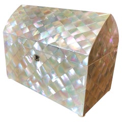 19TH Century English Mother of Pearl Tea Caddy