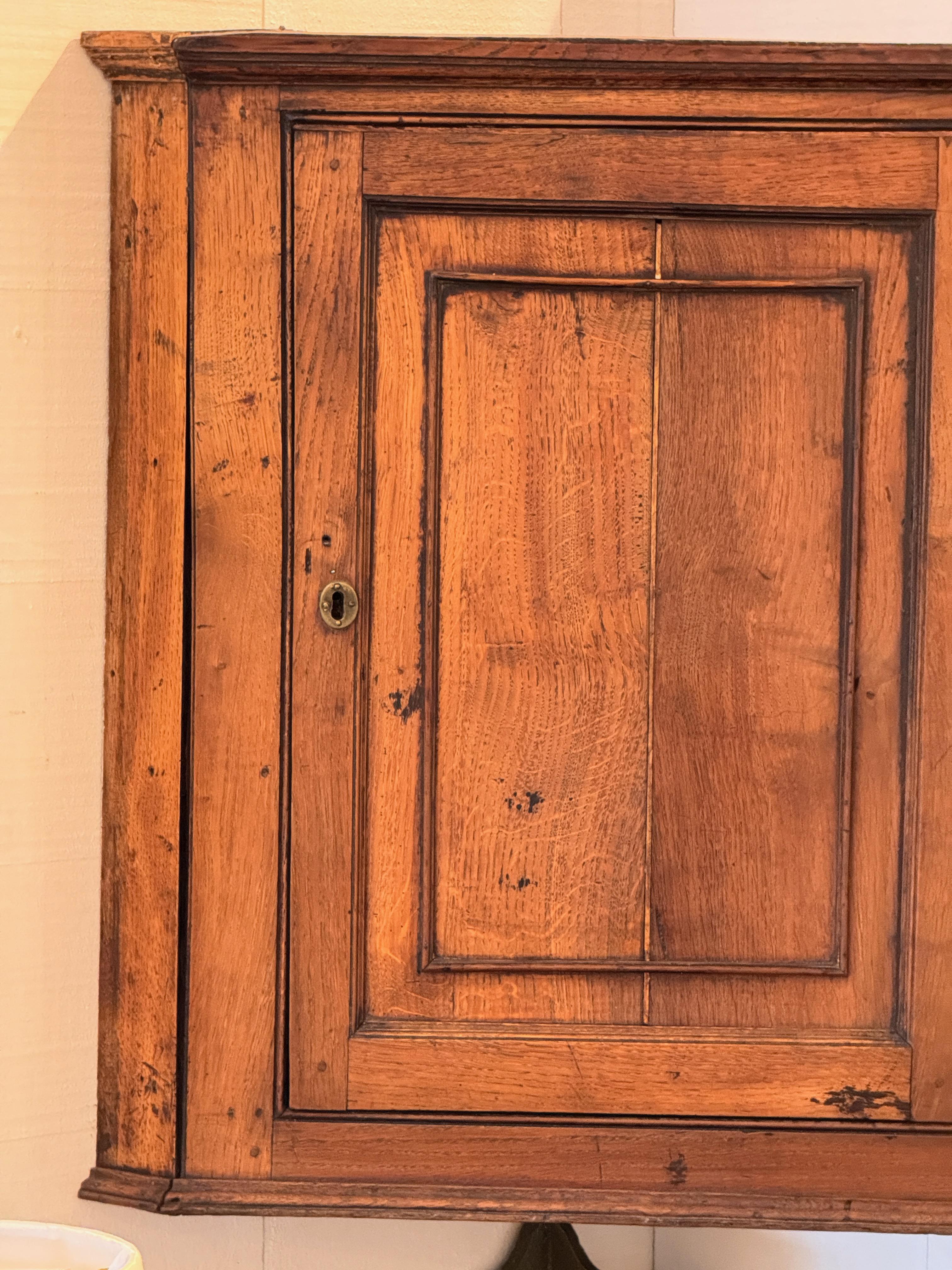 Britannico Armadio pensile inglese del XIX secolo in Oak in vendita
