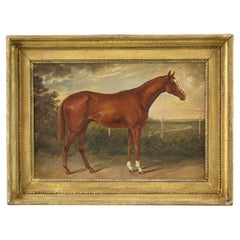 19th Century English Oil on Canvas Horse Portrait