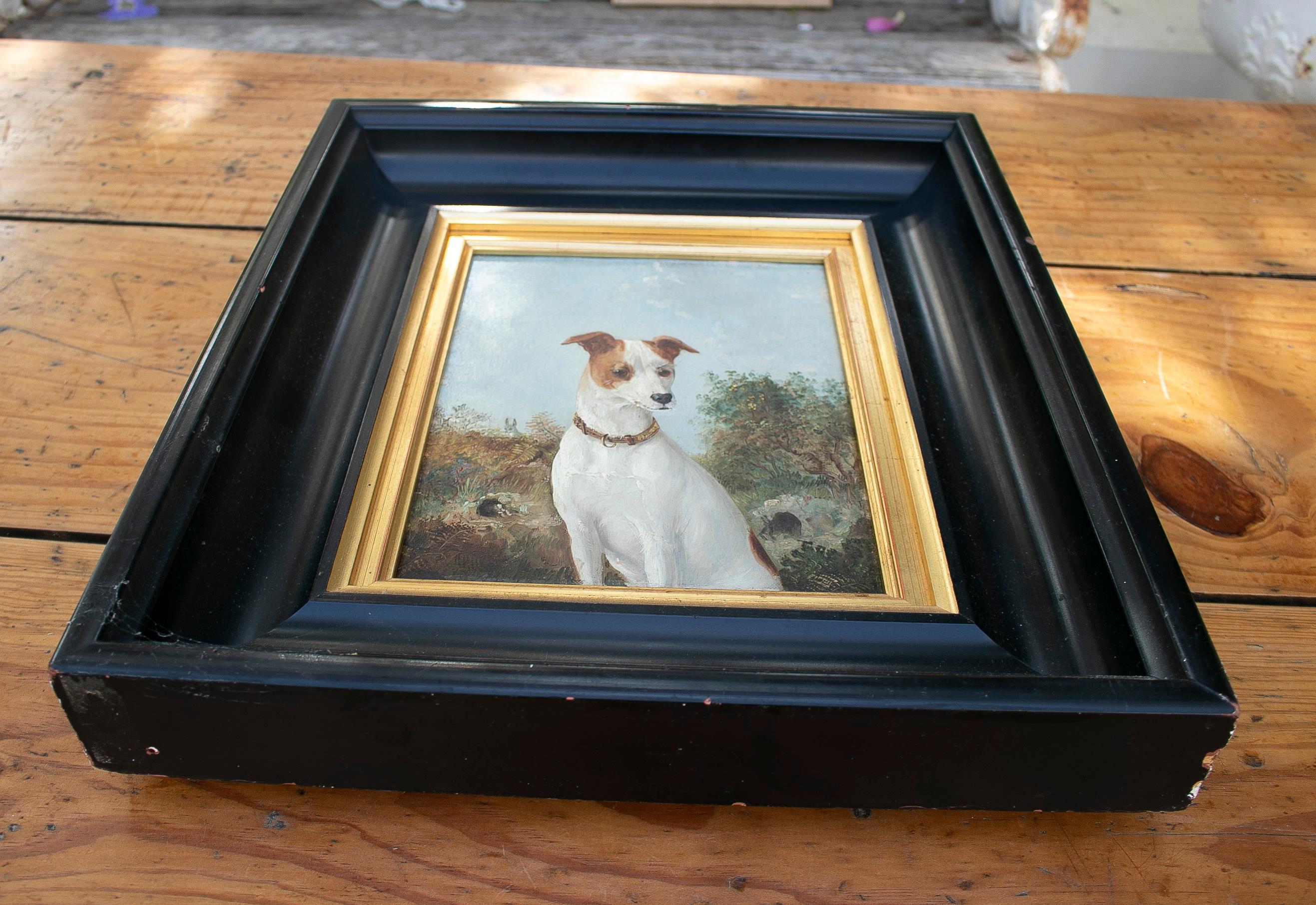 Antique peinture anglaise du 19ème siècle, huile sur toile, portrait de chien de chasse avec cadre noir et bois doré.

Dimensions incluant le cadre : 43 x 38 x 8cm.