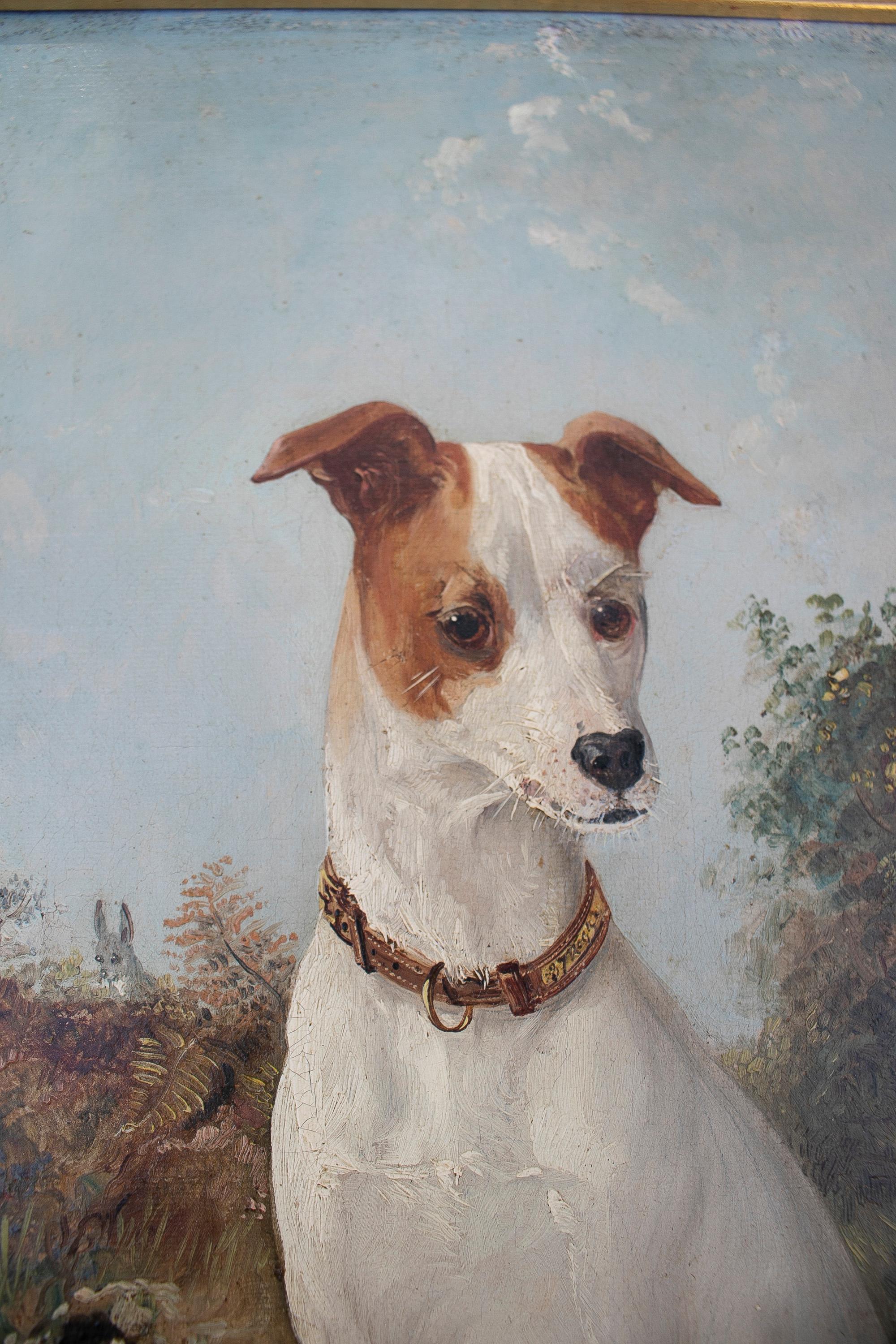 Anglais Peinture à l'huile sur toile anglaise du 19ème siècle représentant un portrait de chien de chasse avec cadre en vente