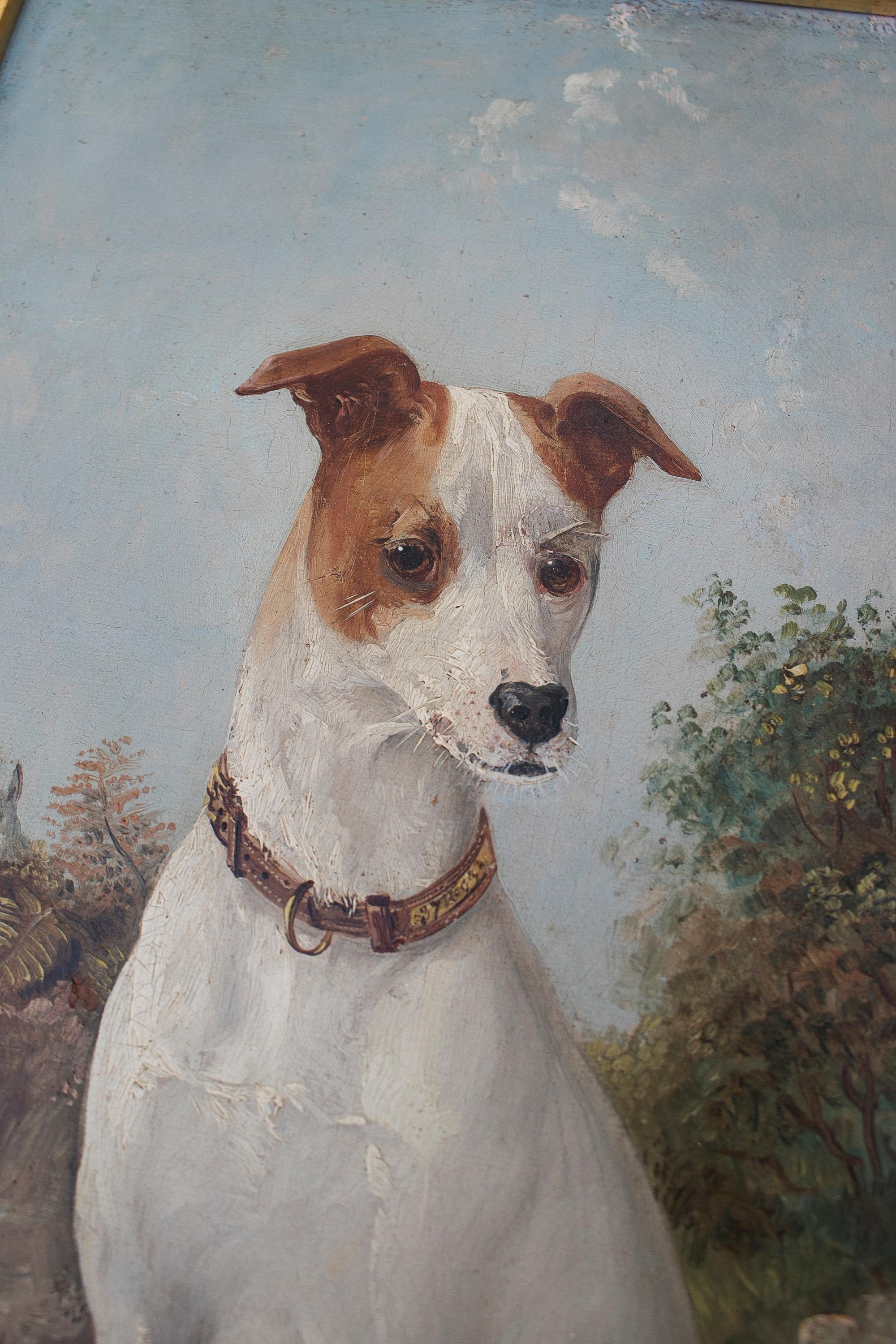 Peinture à l'huile sur toile anglaise du 19ème siècle représentant un portrait de chien de chasse avec cadre en vente 1