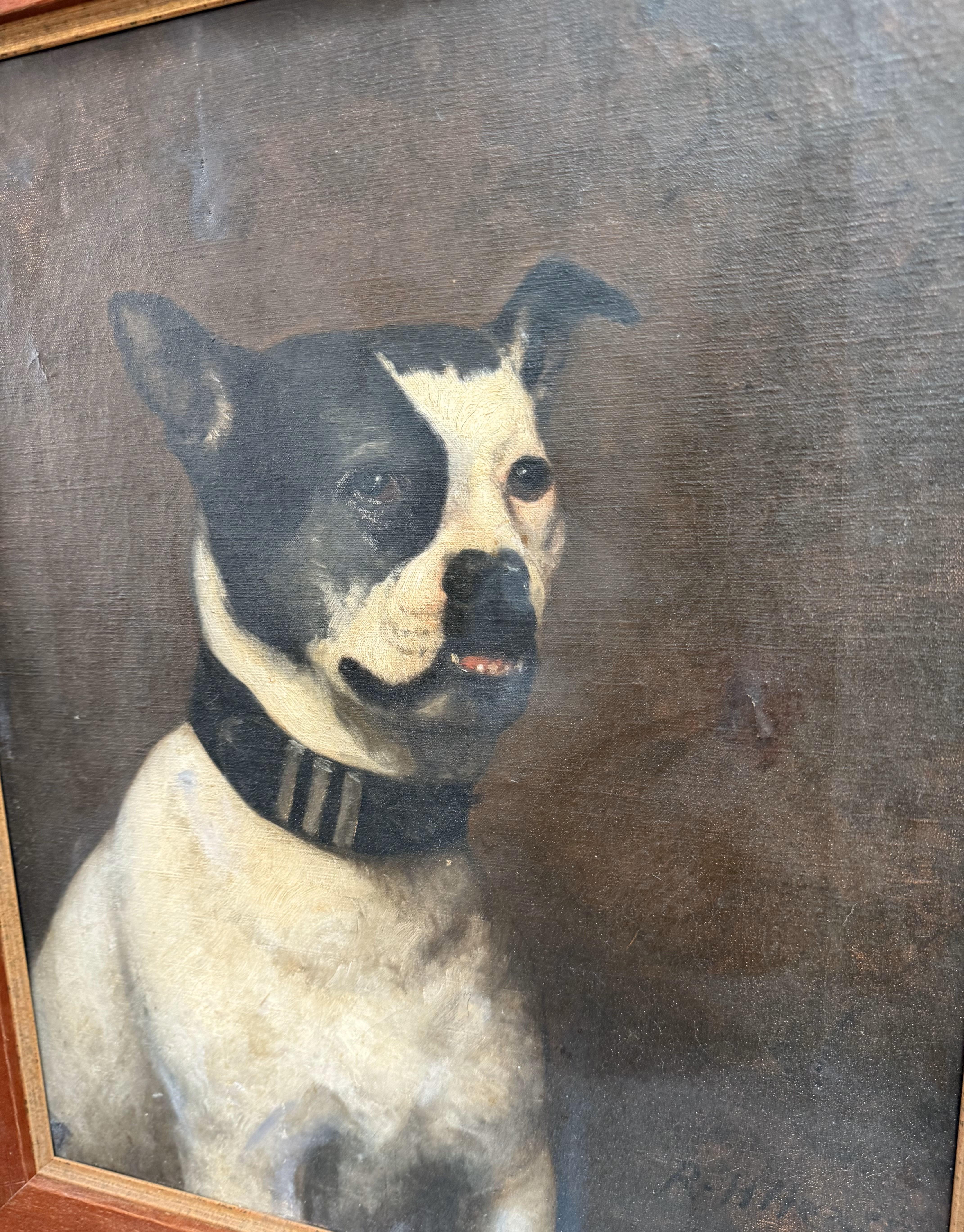 Hand-Crafted 19th Century English Oil Painting of a Bulldog by R.H. Hearn, Dated 1874 For Sale