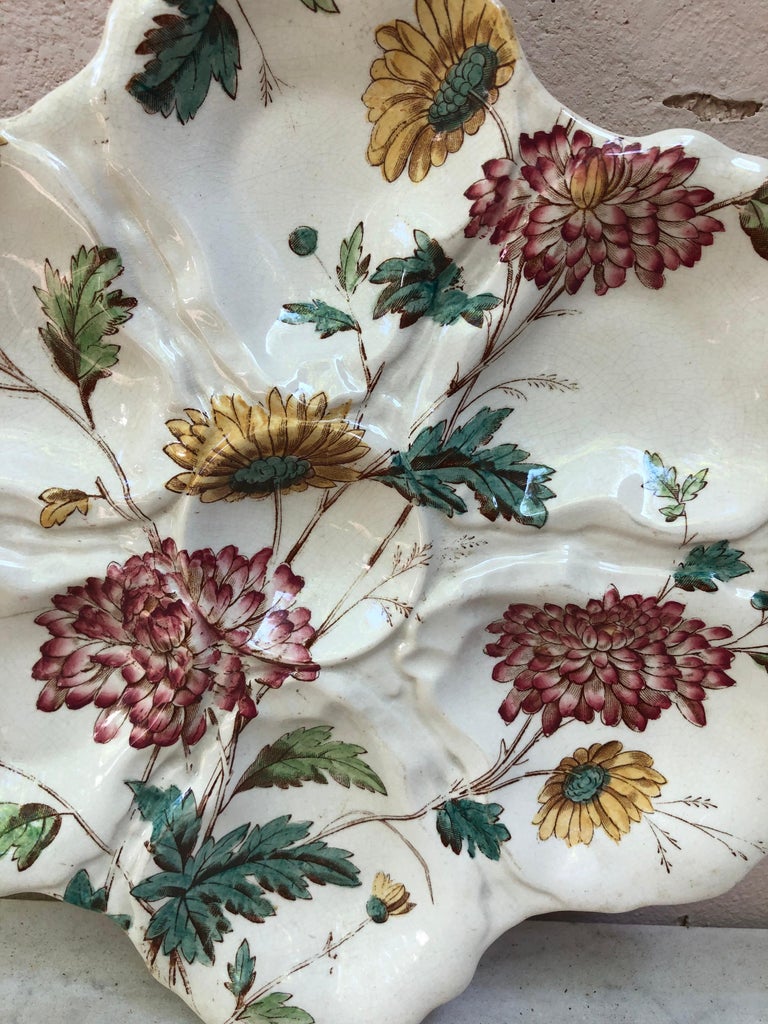 19th century English oyster plate with flowers Adderley ware.