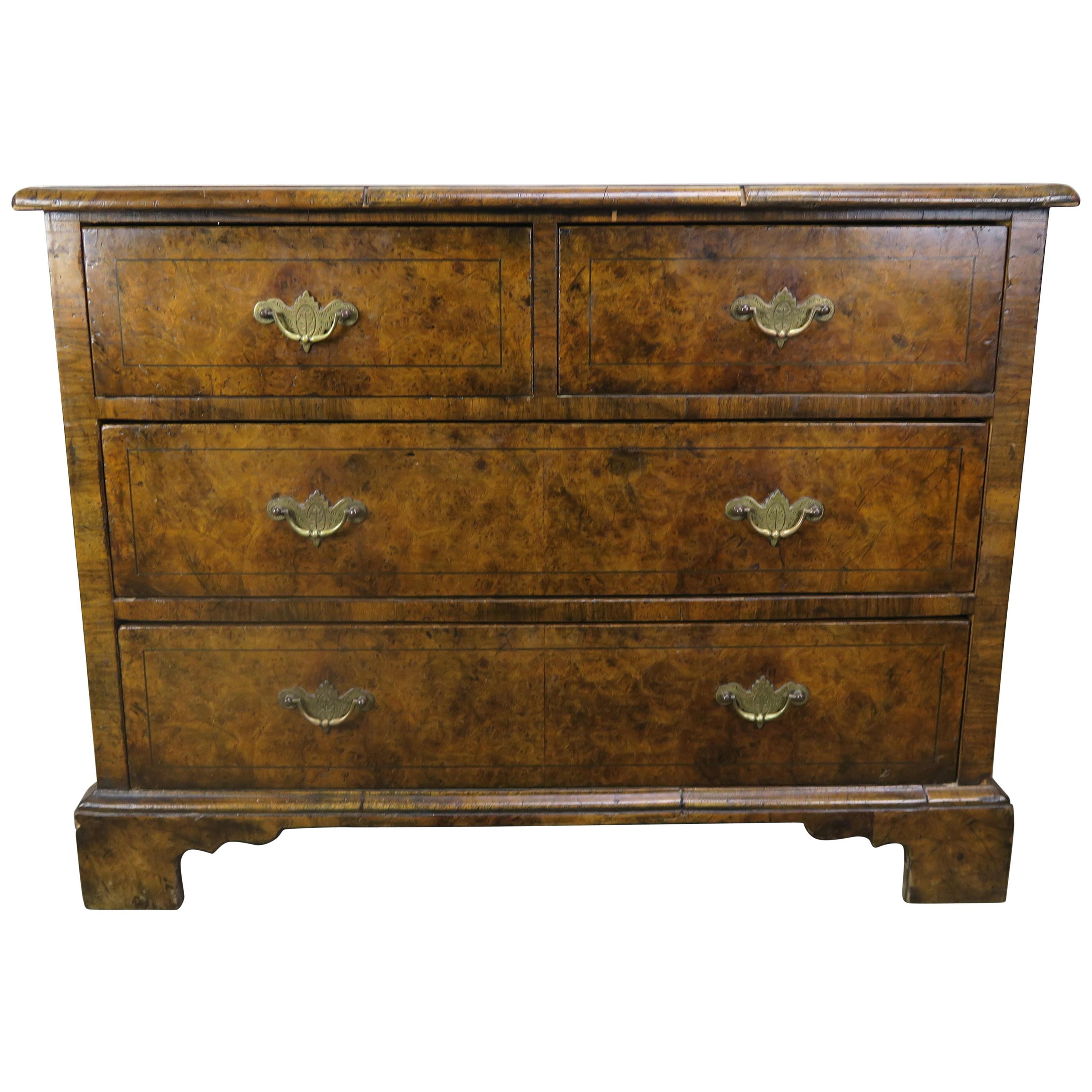 19th Century English Oyster Veneered Chest of Drawers