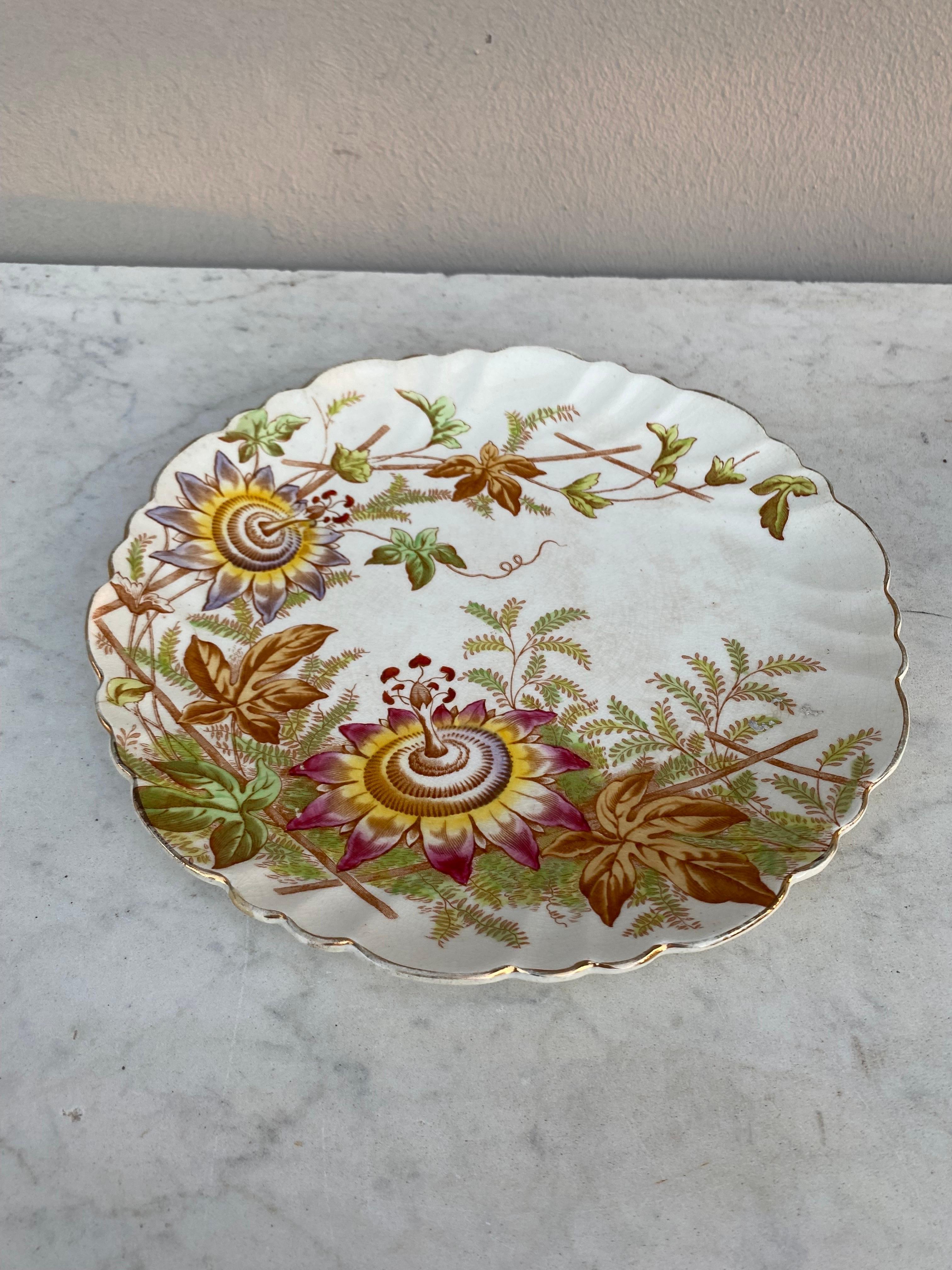 19th century English Passiflora plate.