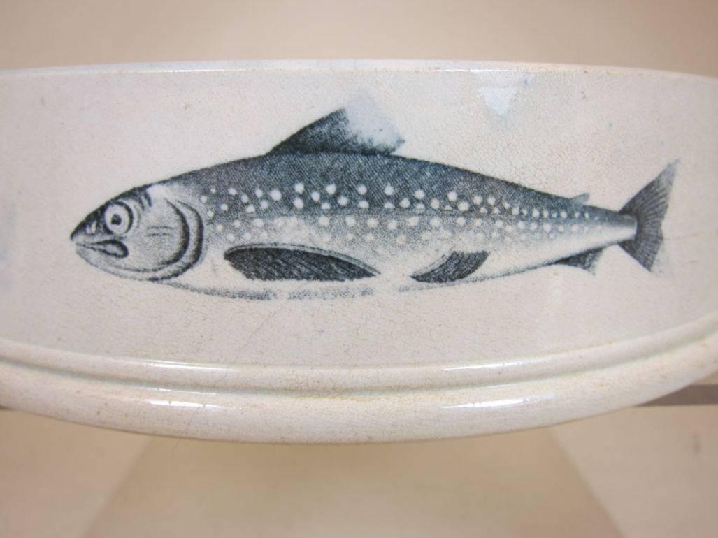 British 19th Century English Pearlware Large Char Pate Dish with Fish Print 