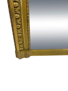 19th Century English Pier Mirror Decorated with Lions Head and Figural Griffins