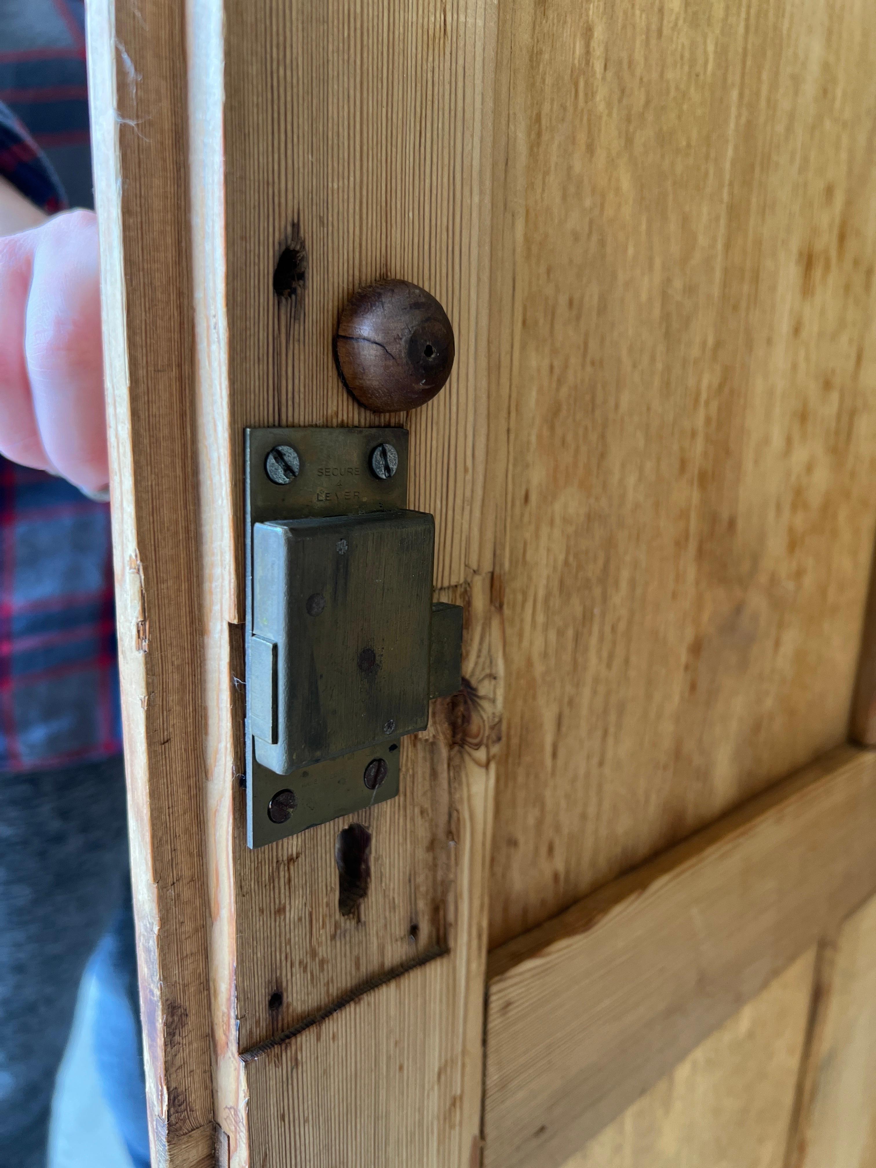 Englischer Kiefernschrank aus dem 19. Jahrhundert, handbemalte Trompe-l'Oeil-Paneelverkleidung im Angebot 6