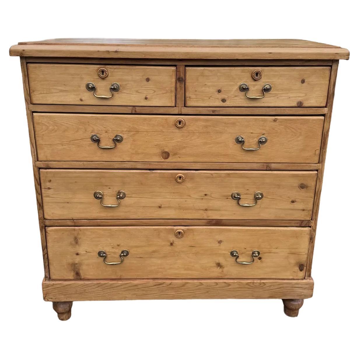 Cassettiera in pino inglese del XIX secolo in vendita